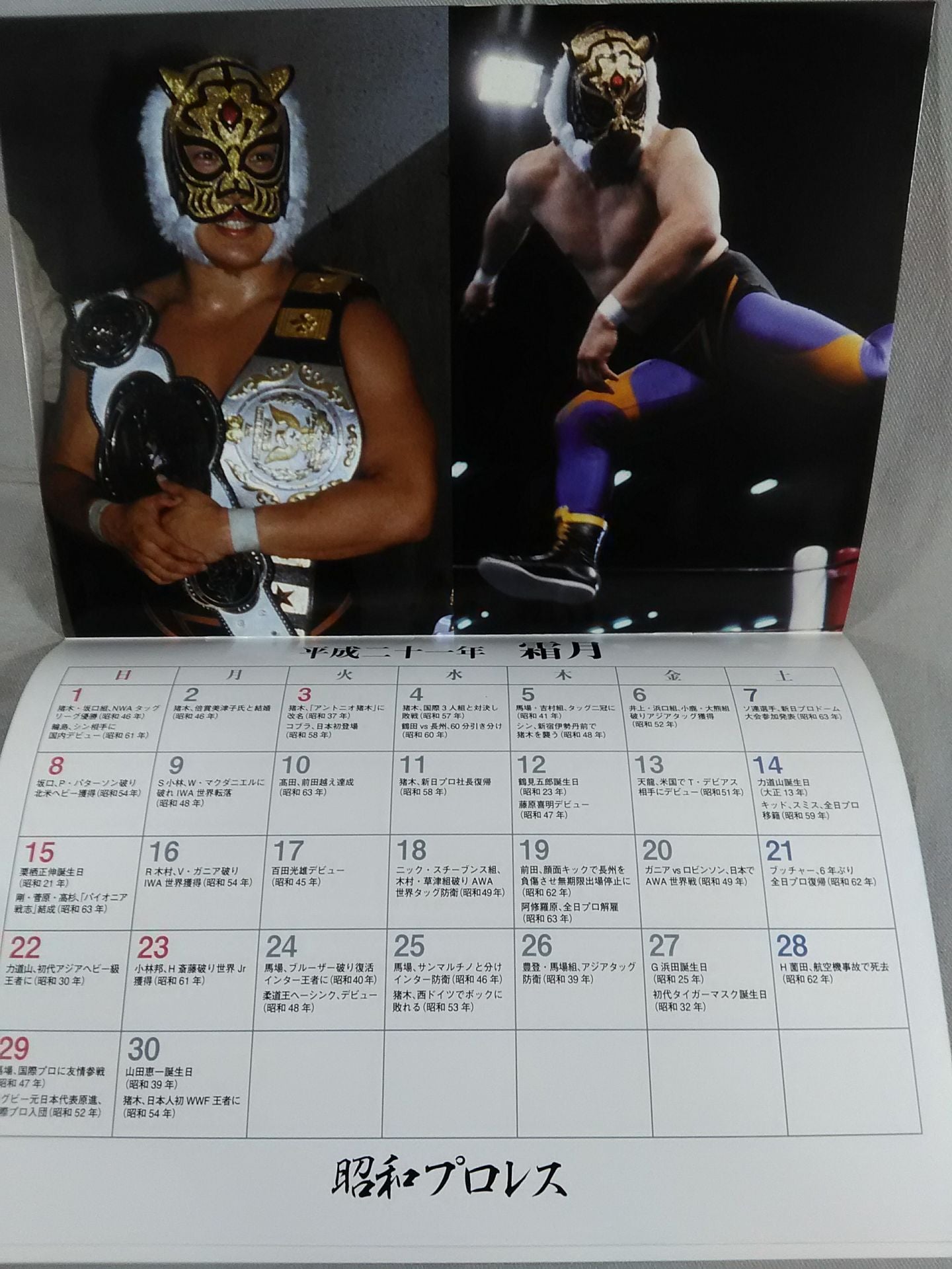 Showa Pro Wrestling 2009 Calendar
