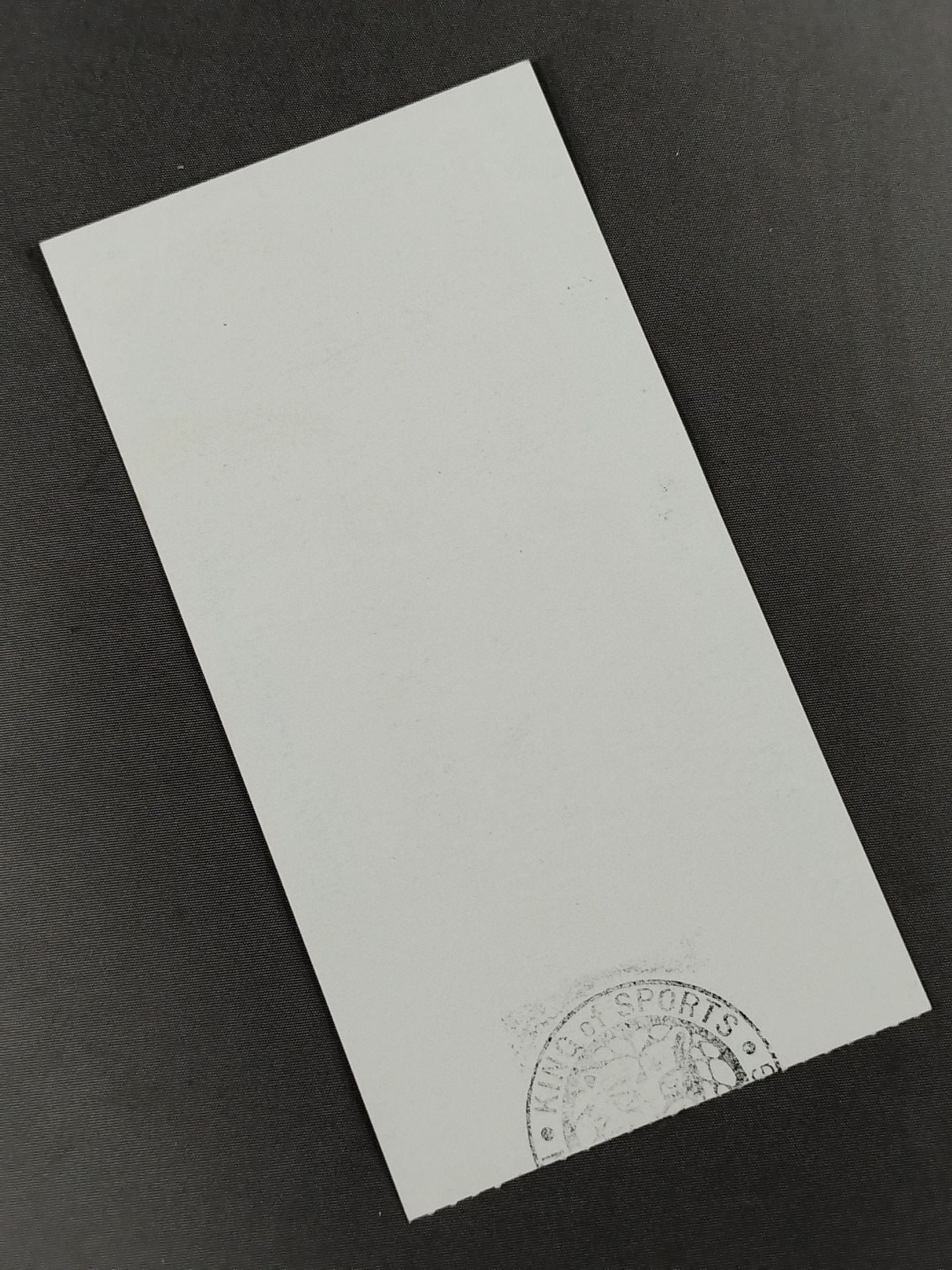 FIGHTING SPIRIT’94