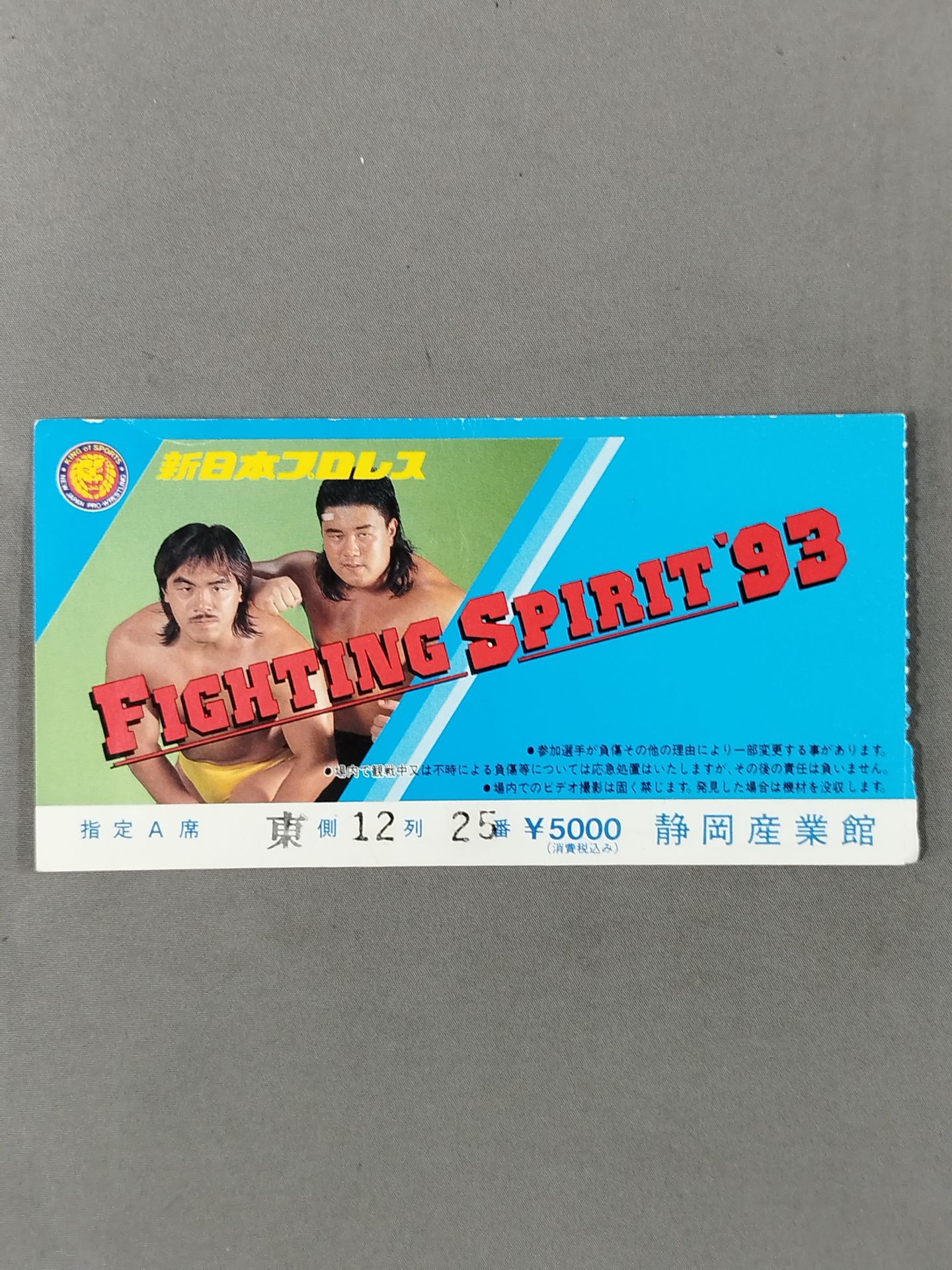 FIGHTING SPIRIT ’93