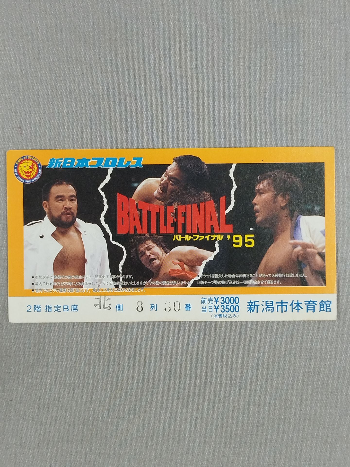 Battle Final '95