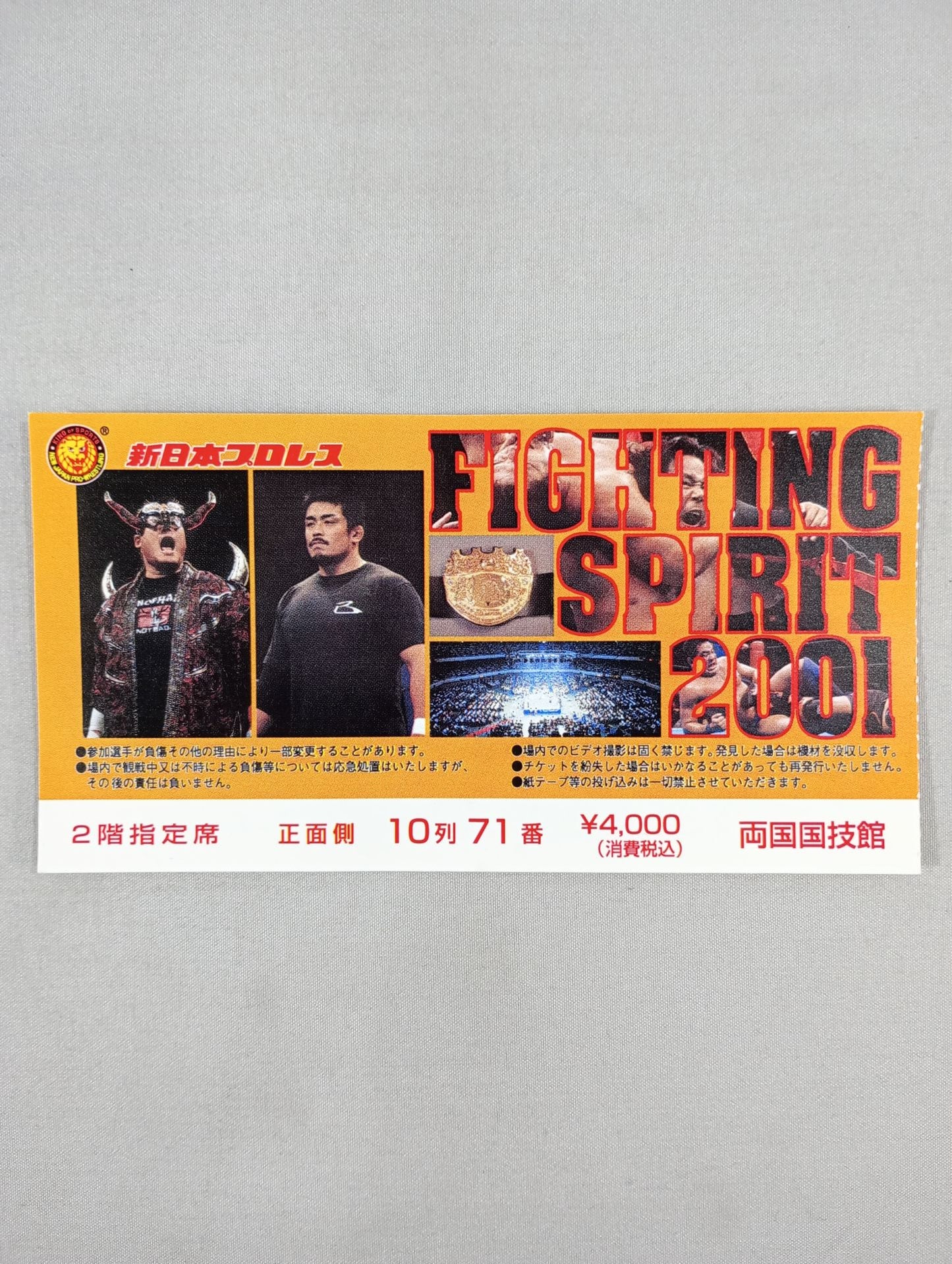 FIGHTING SPIRIT 2001