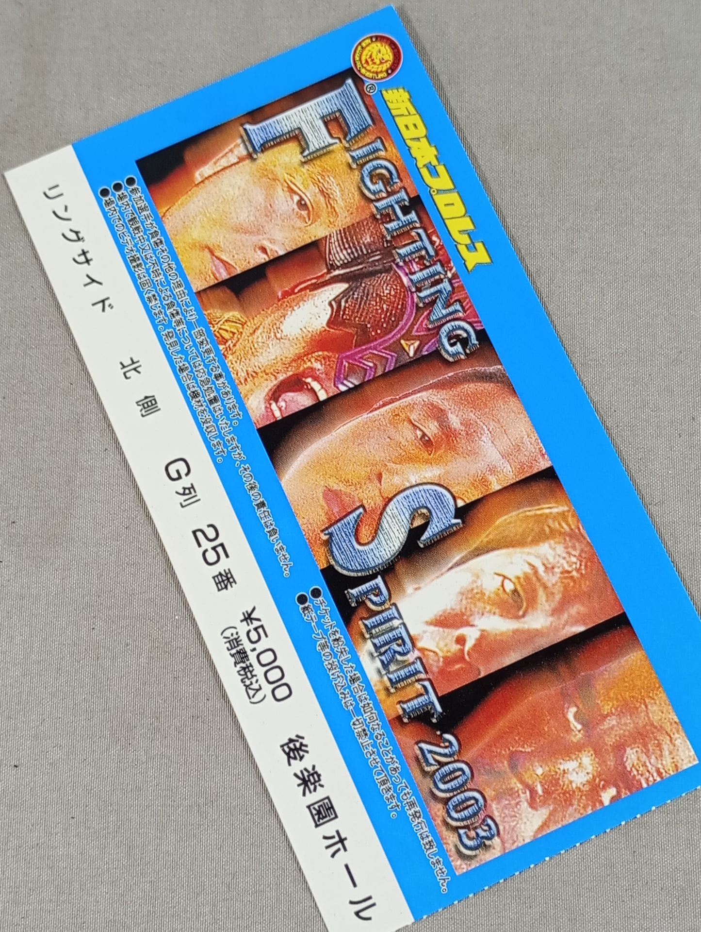 FIGHTING SPIRIT 2003