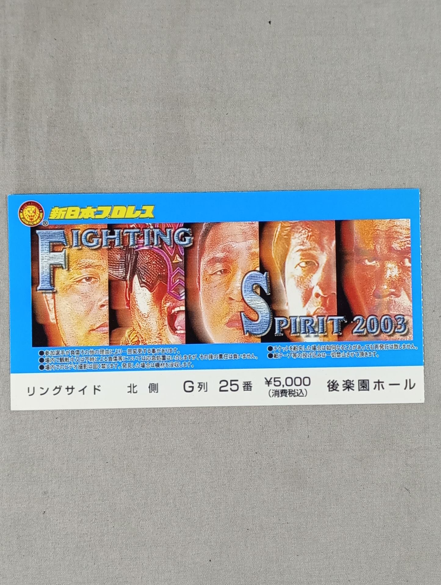 FIGHTING SPIRIT 2003
