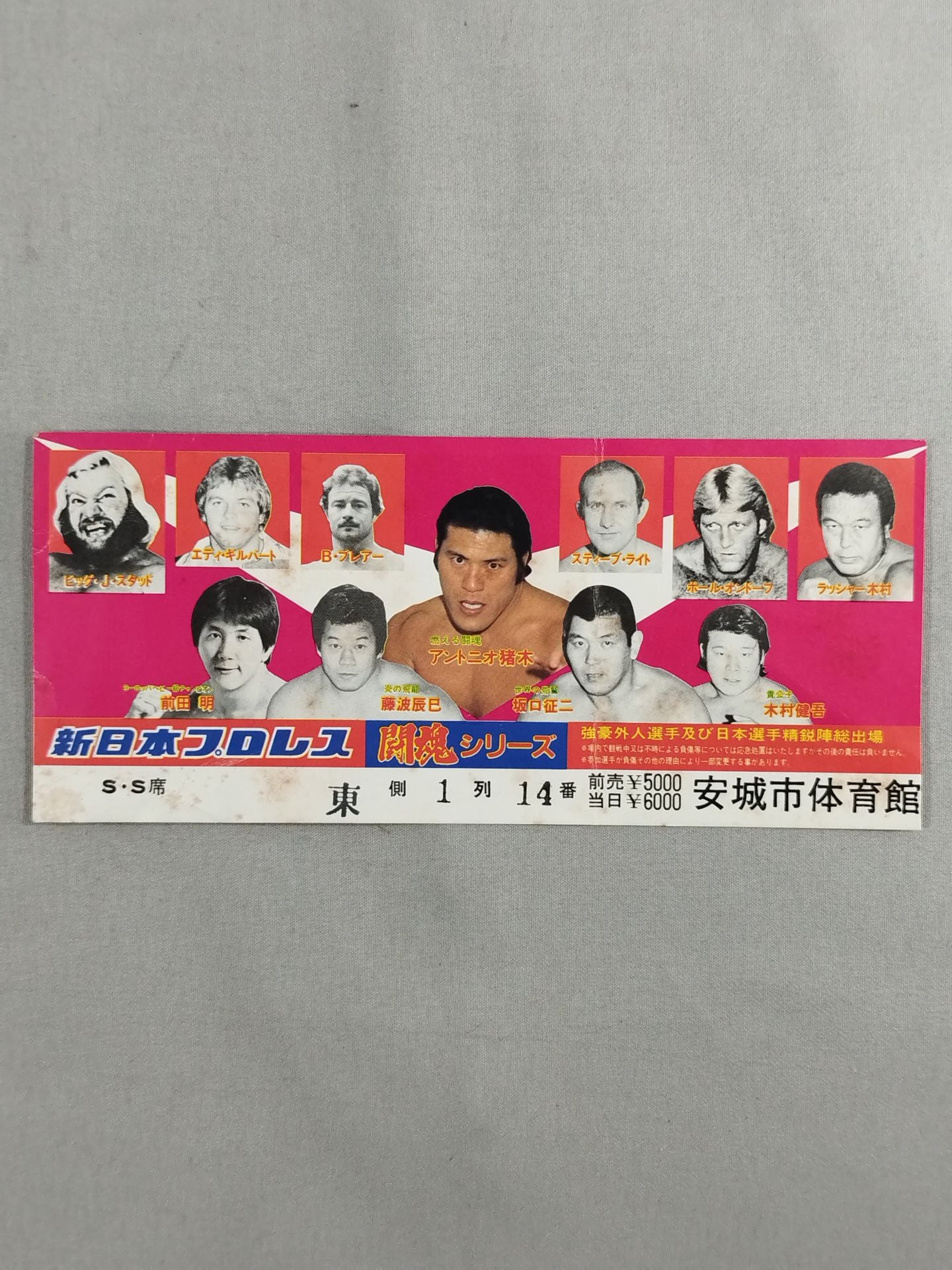 83 Fighting Spirits Series