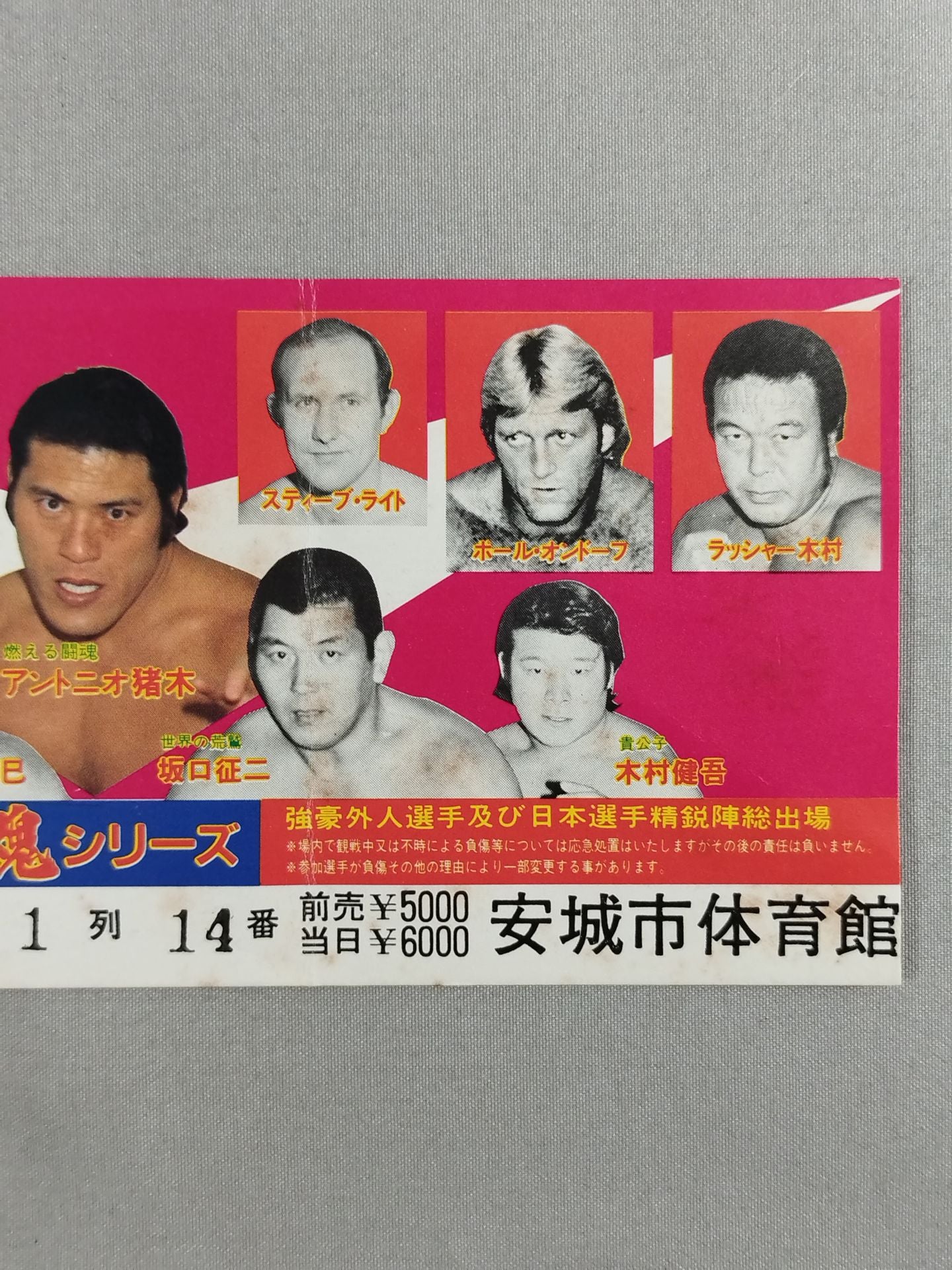 83 Fighting Spirits Series