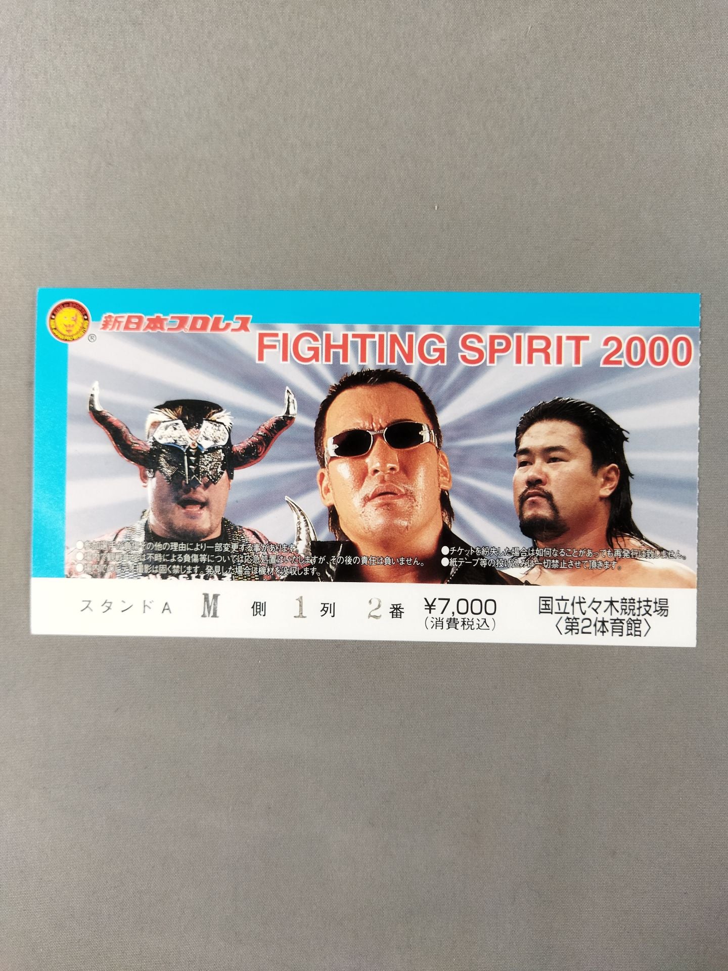 FIGHTING SPIRIT 2000