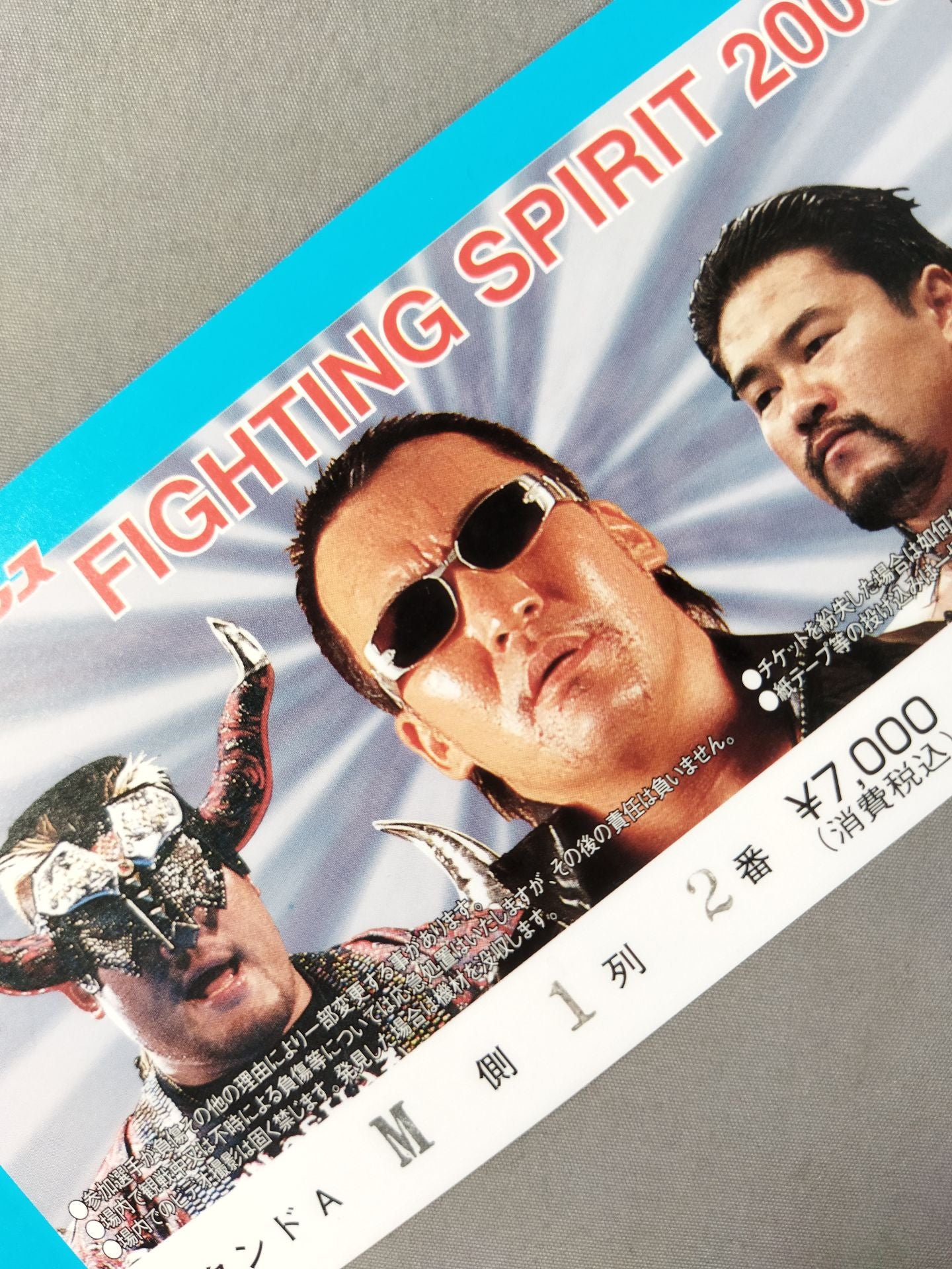 FIGHTING SPIRIT 2000