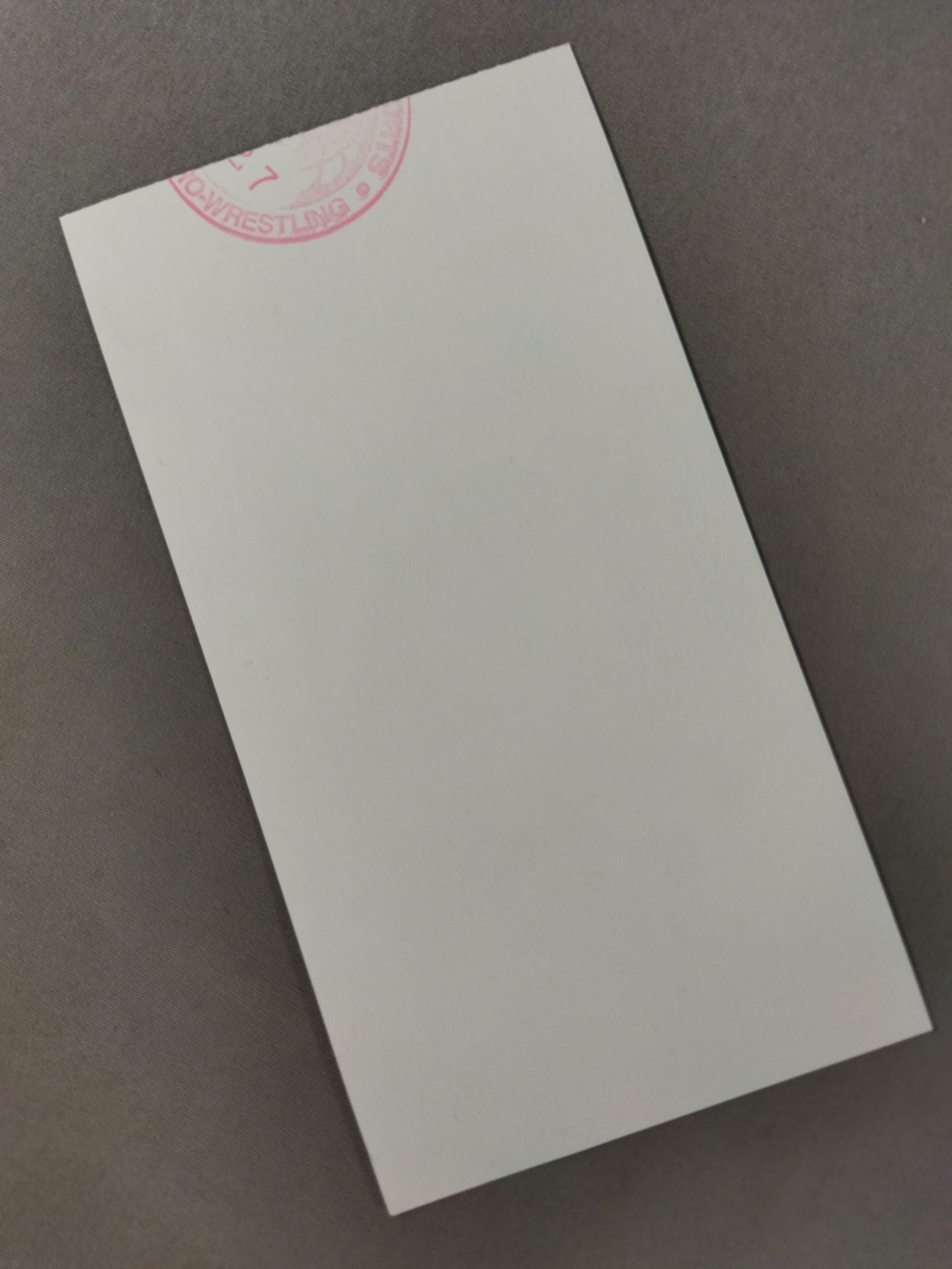 FIGHTING SPIRIT 2000