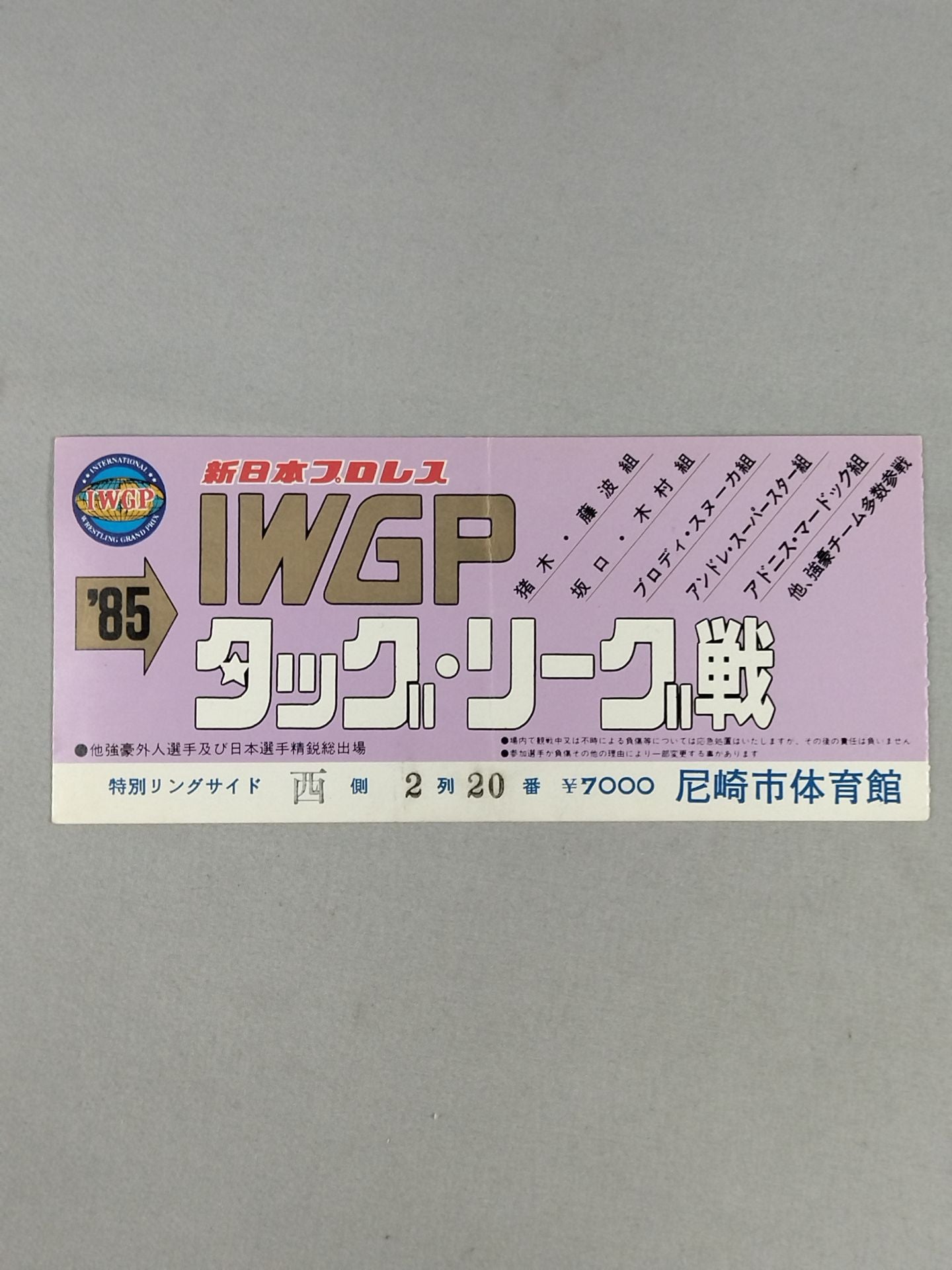 85IWGP Tag League Match
