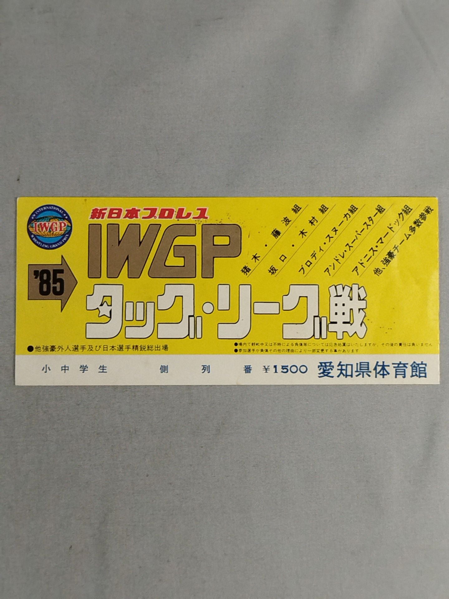85IWGP Tag League Match