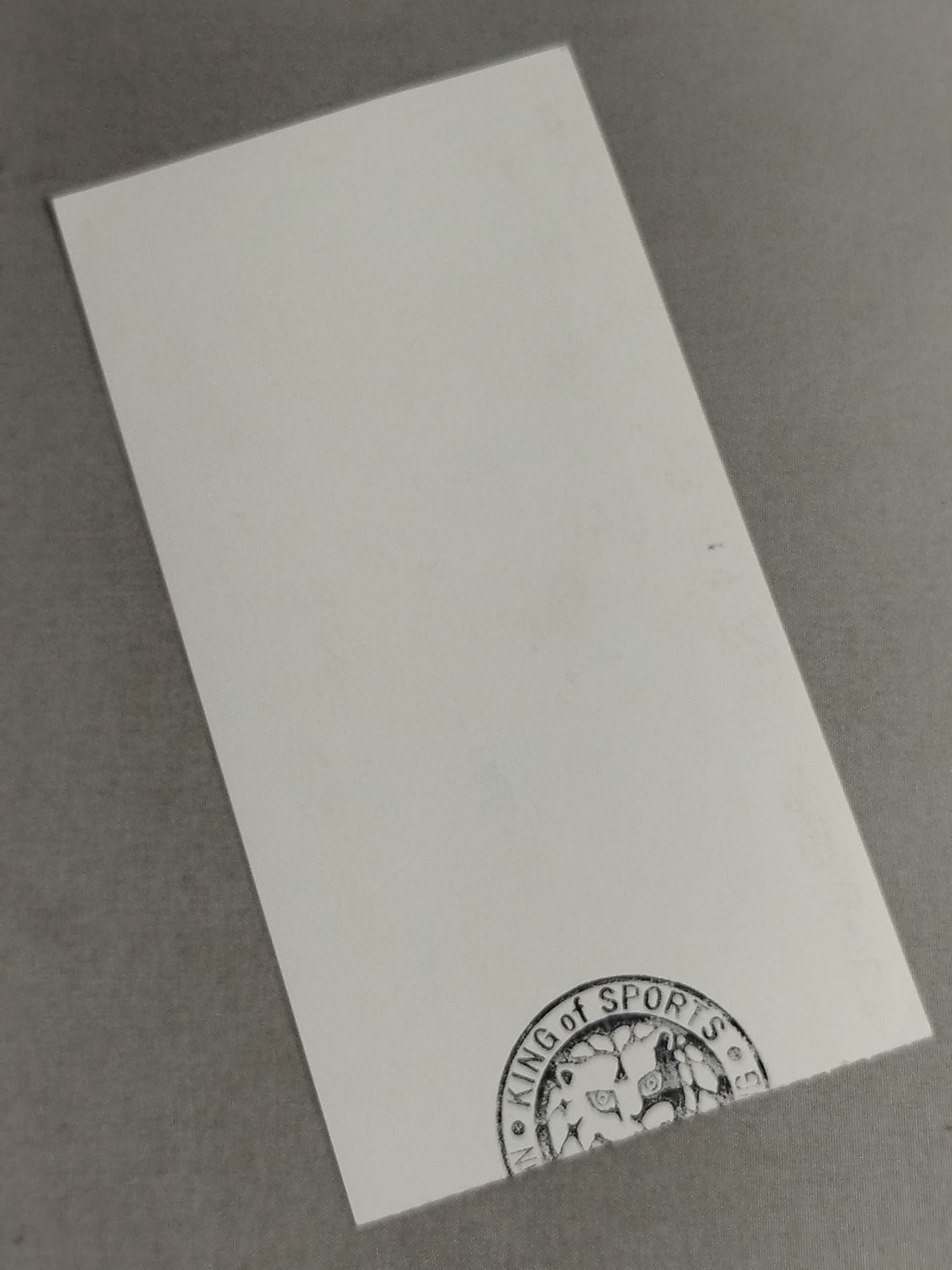 FIGHTING SPIRIT 2000