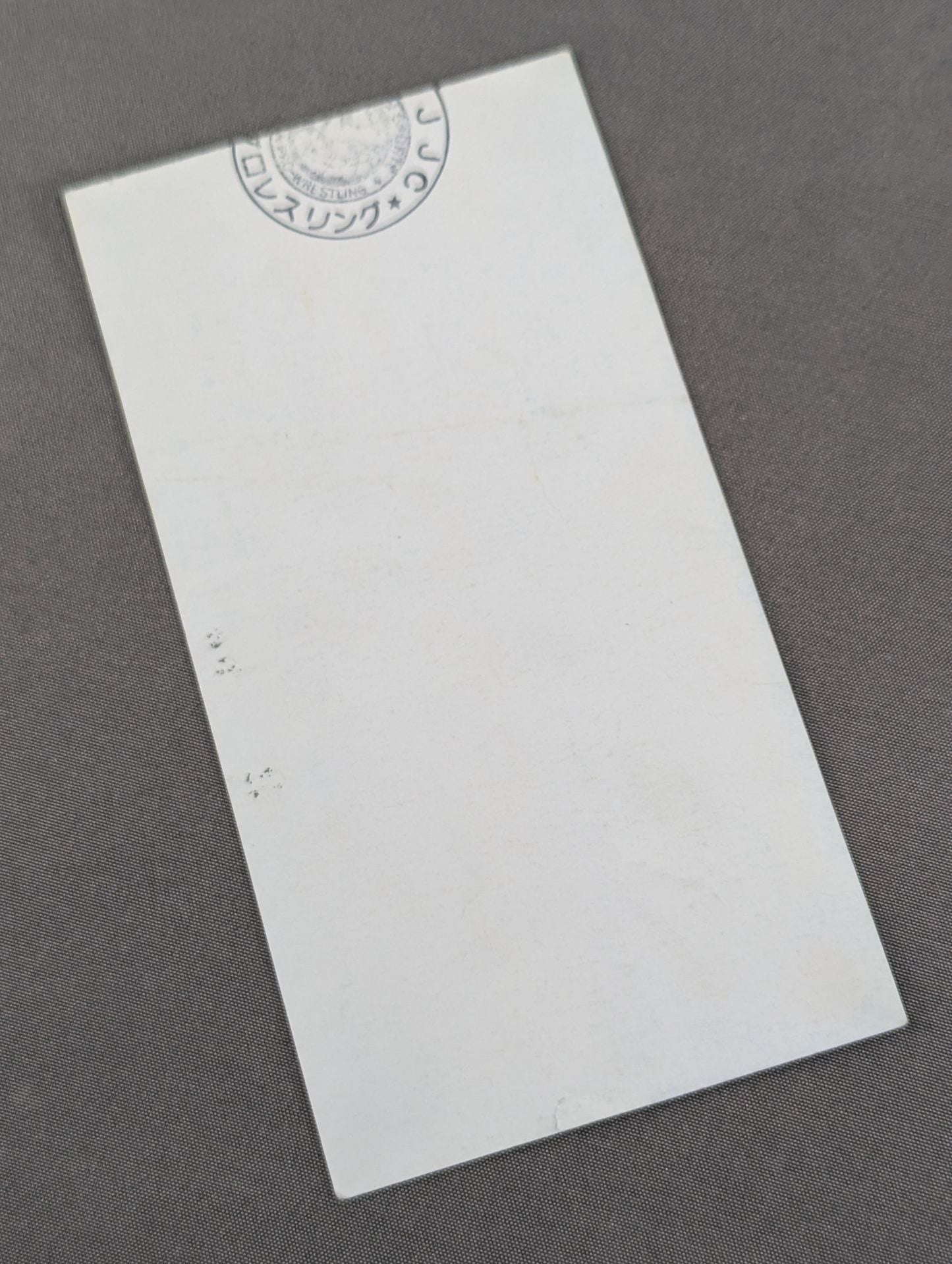 FIGHTING SPIRIT’93