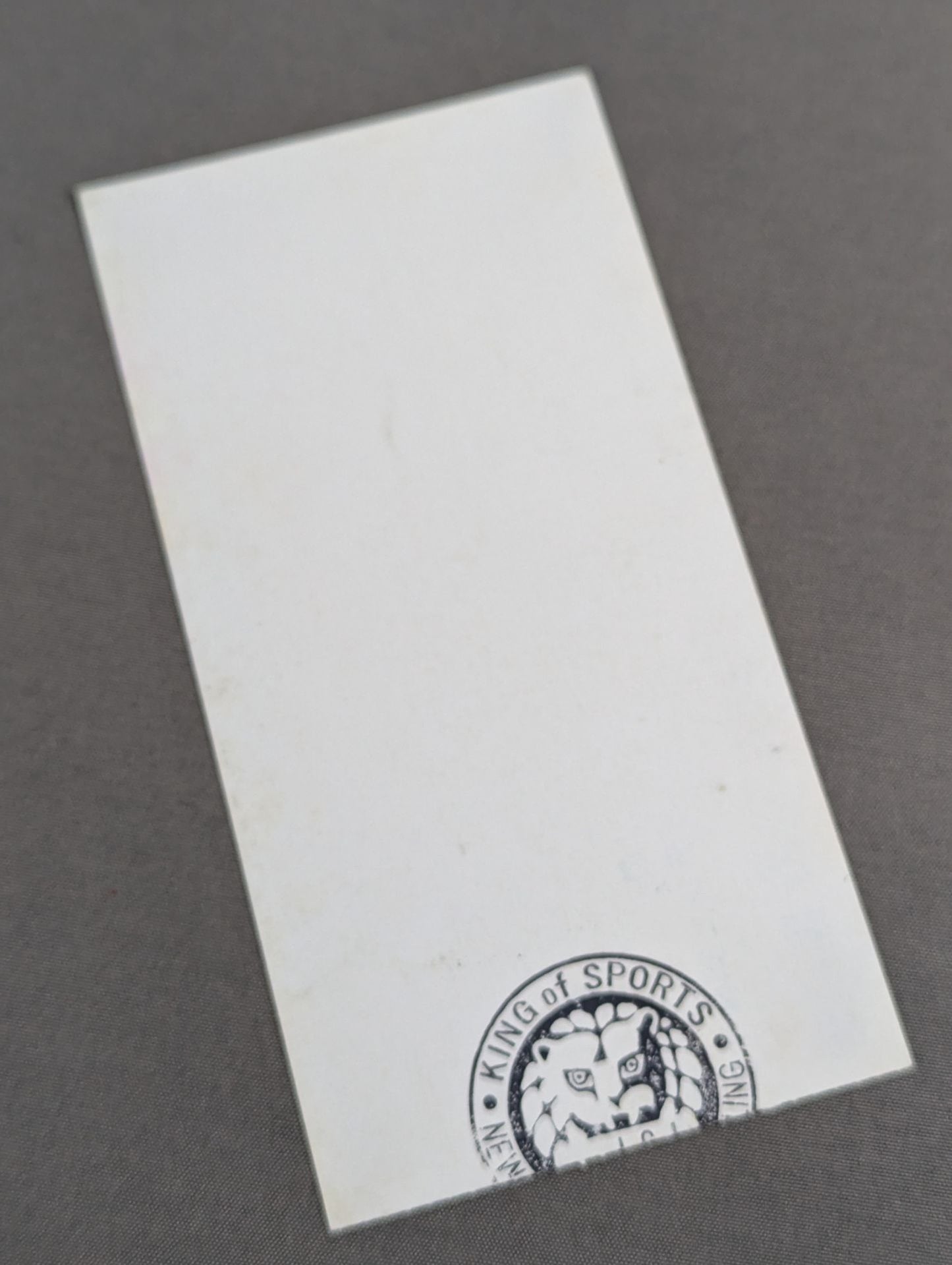 89サマーファイトシリーズ