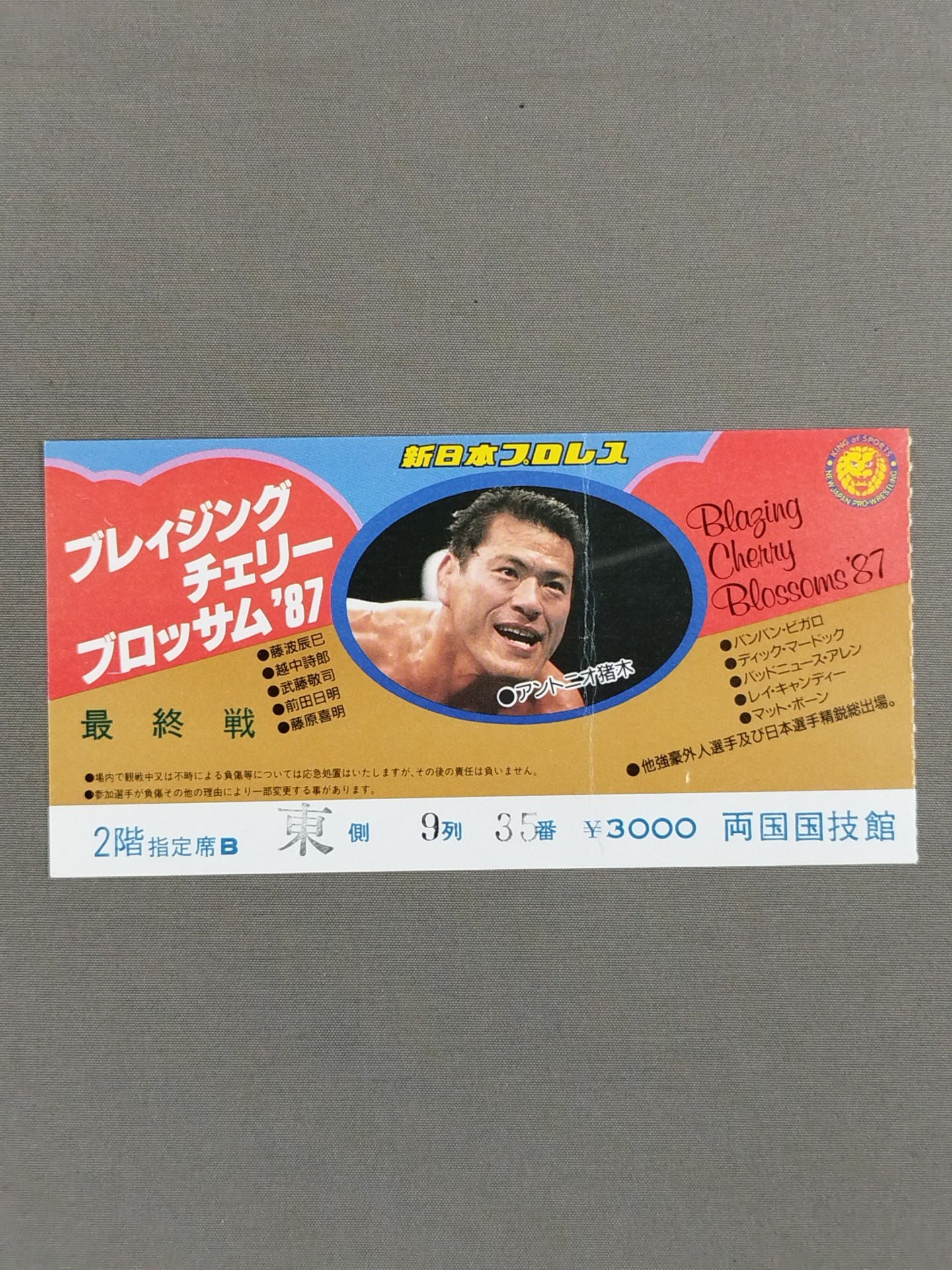 ブレイジングチェリーブロッサム ’87【最終戦】