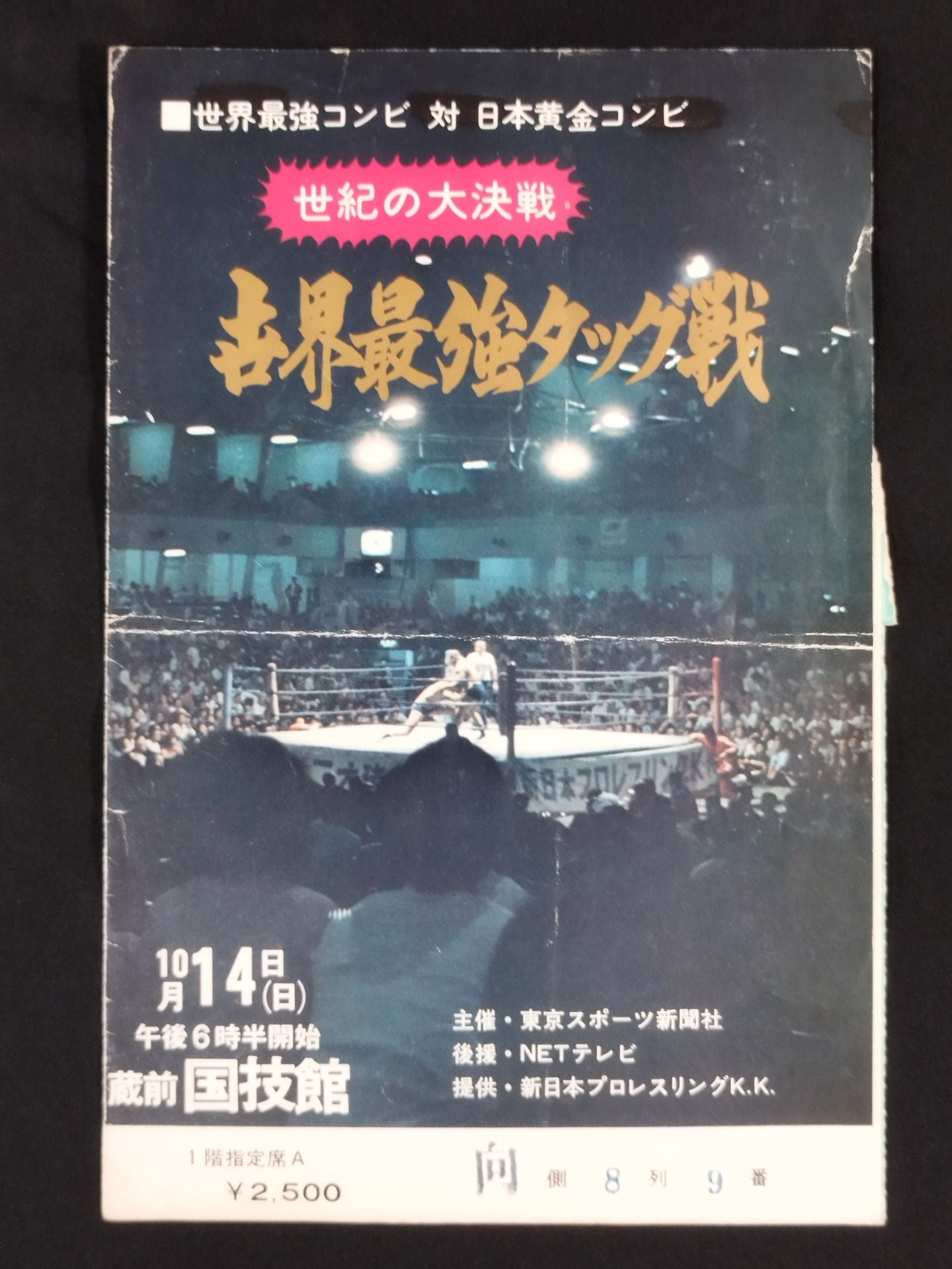 ★ Battle of ★ the Century Real World Tag League