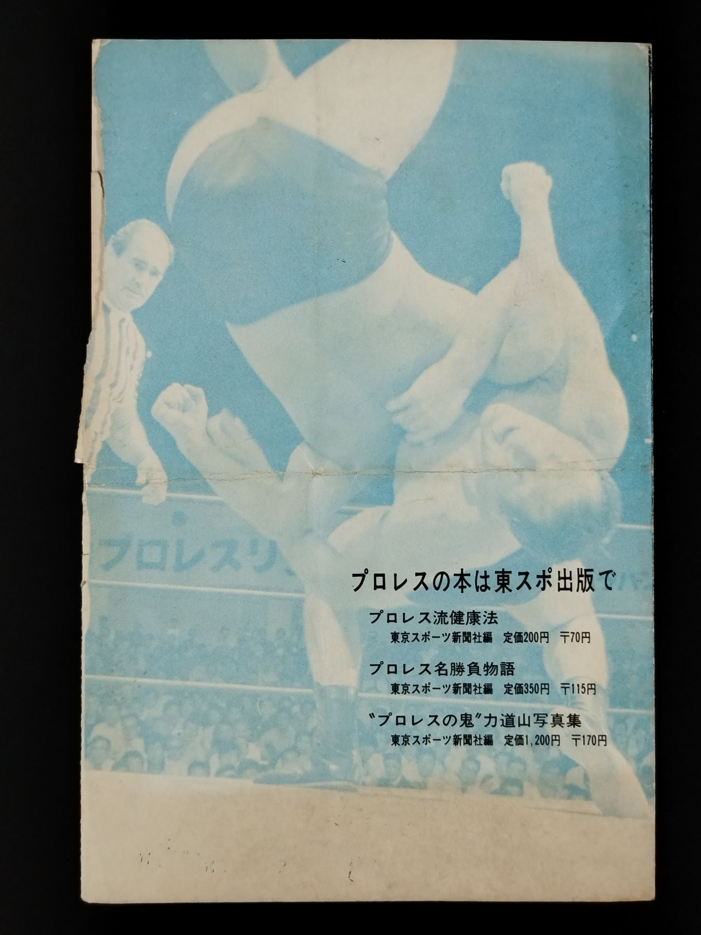 ★世紀の大決戦★ 世界最強タッグ戦