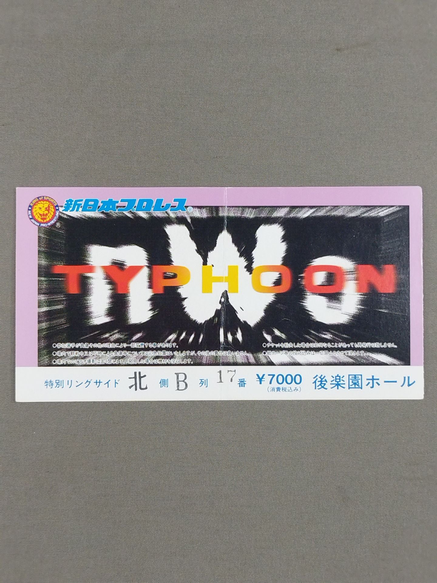 nWo TYPHOON