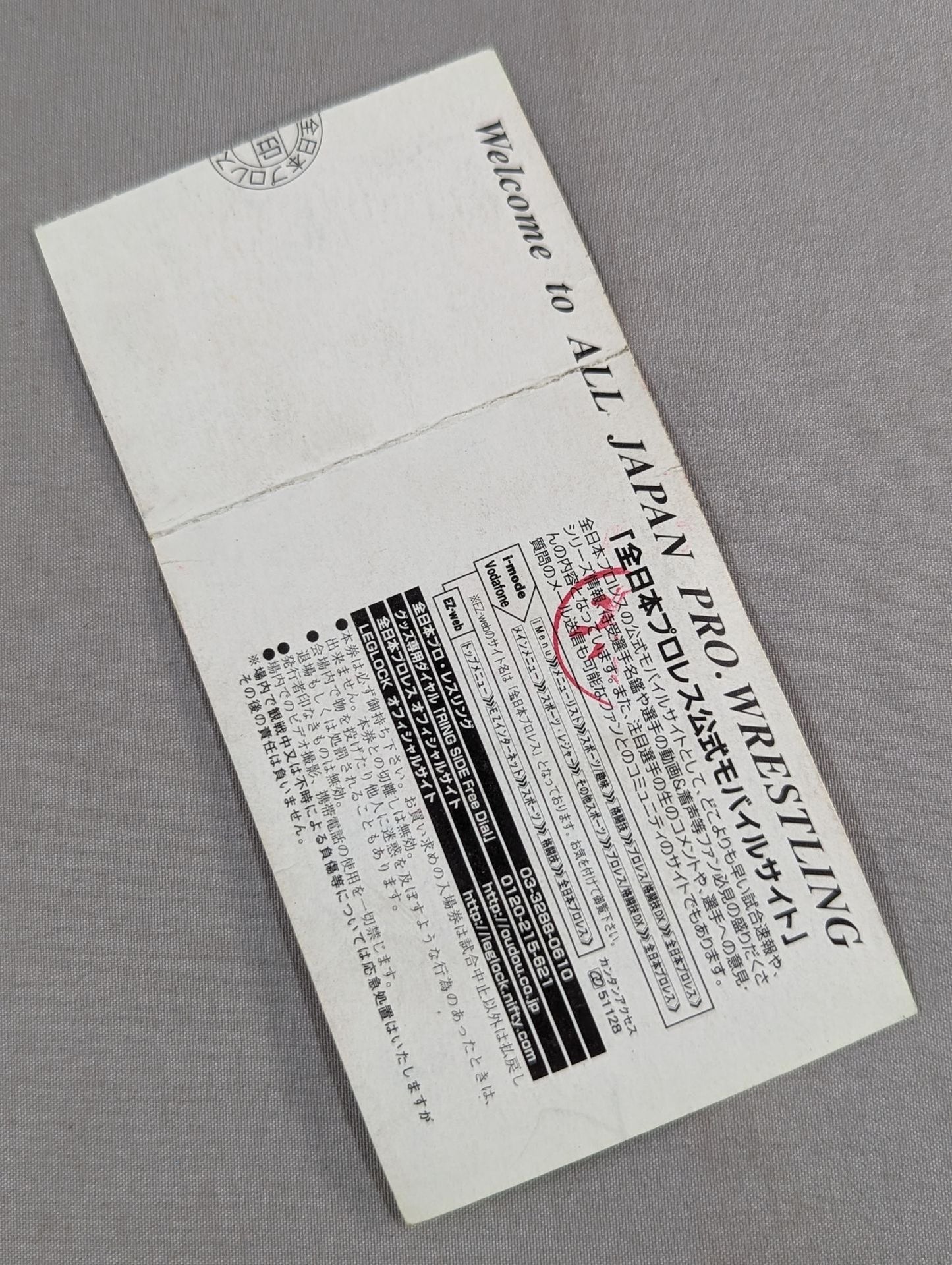 チャンピオン・カーニバル2004 ~PLEASURE6~