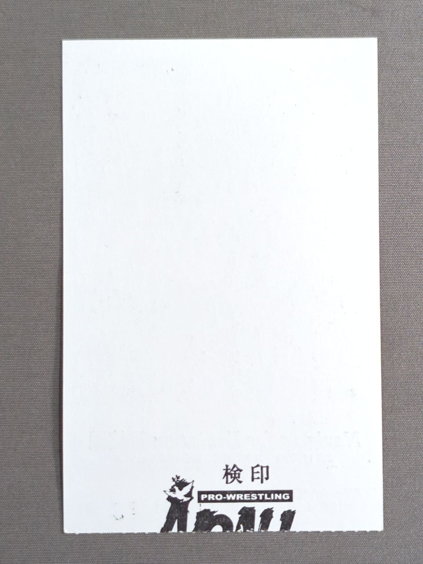 ★小橋建太、395日ぶりに復帰★ Navigation for Evolution【最終戦】