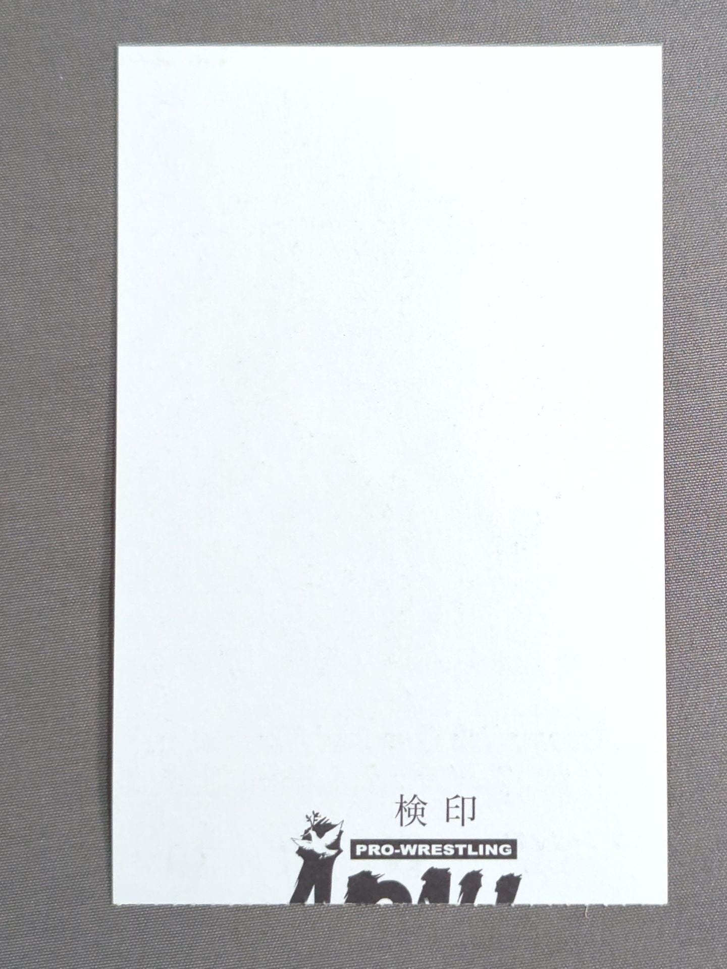 【浅子覚引退興行】Accomplish Our 2nd Navigation