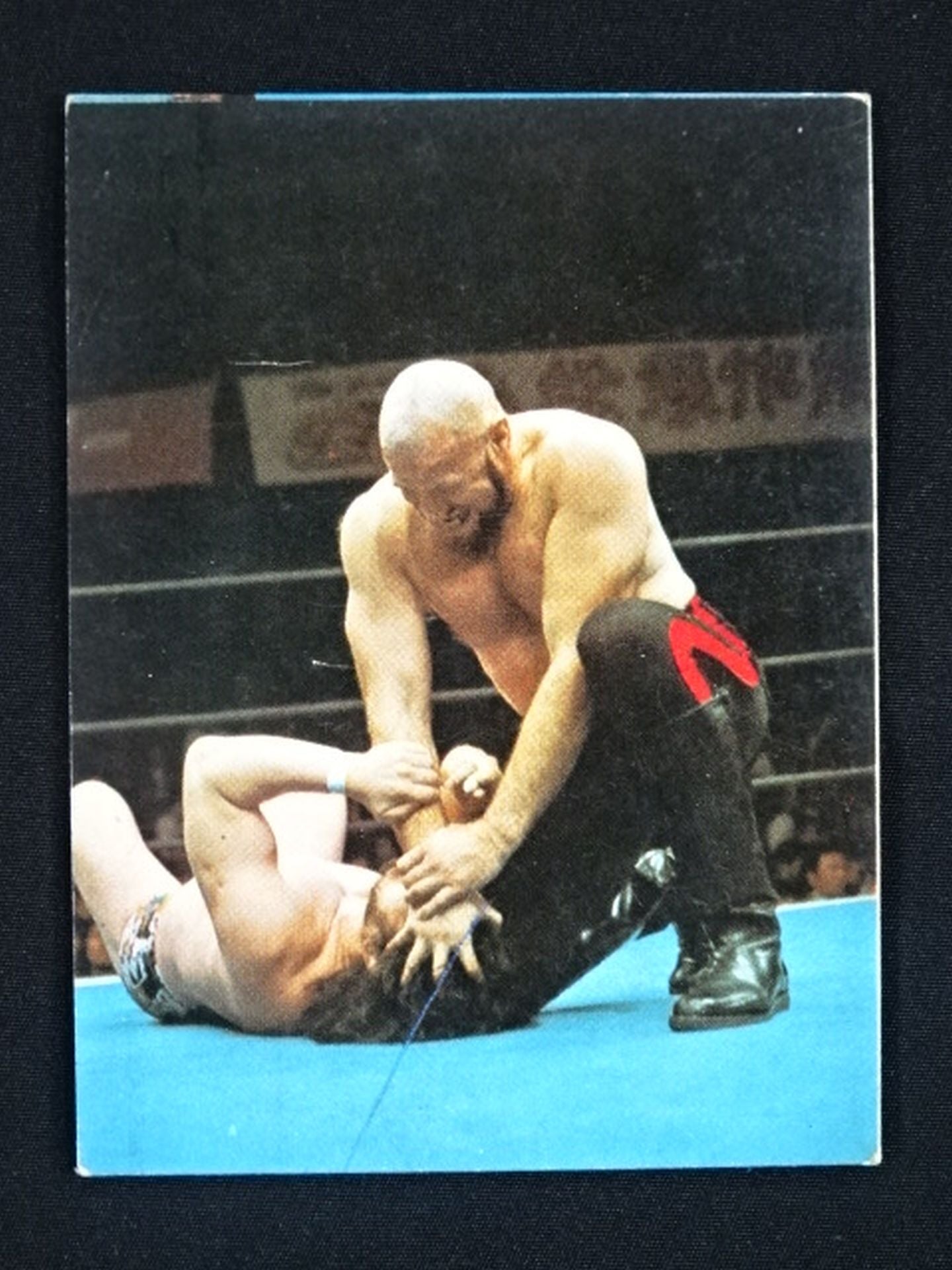 Killer Karl Clapp Yamakatsu Pro Wrestling  Cards(12)