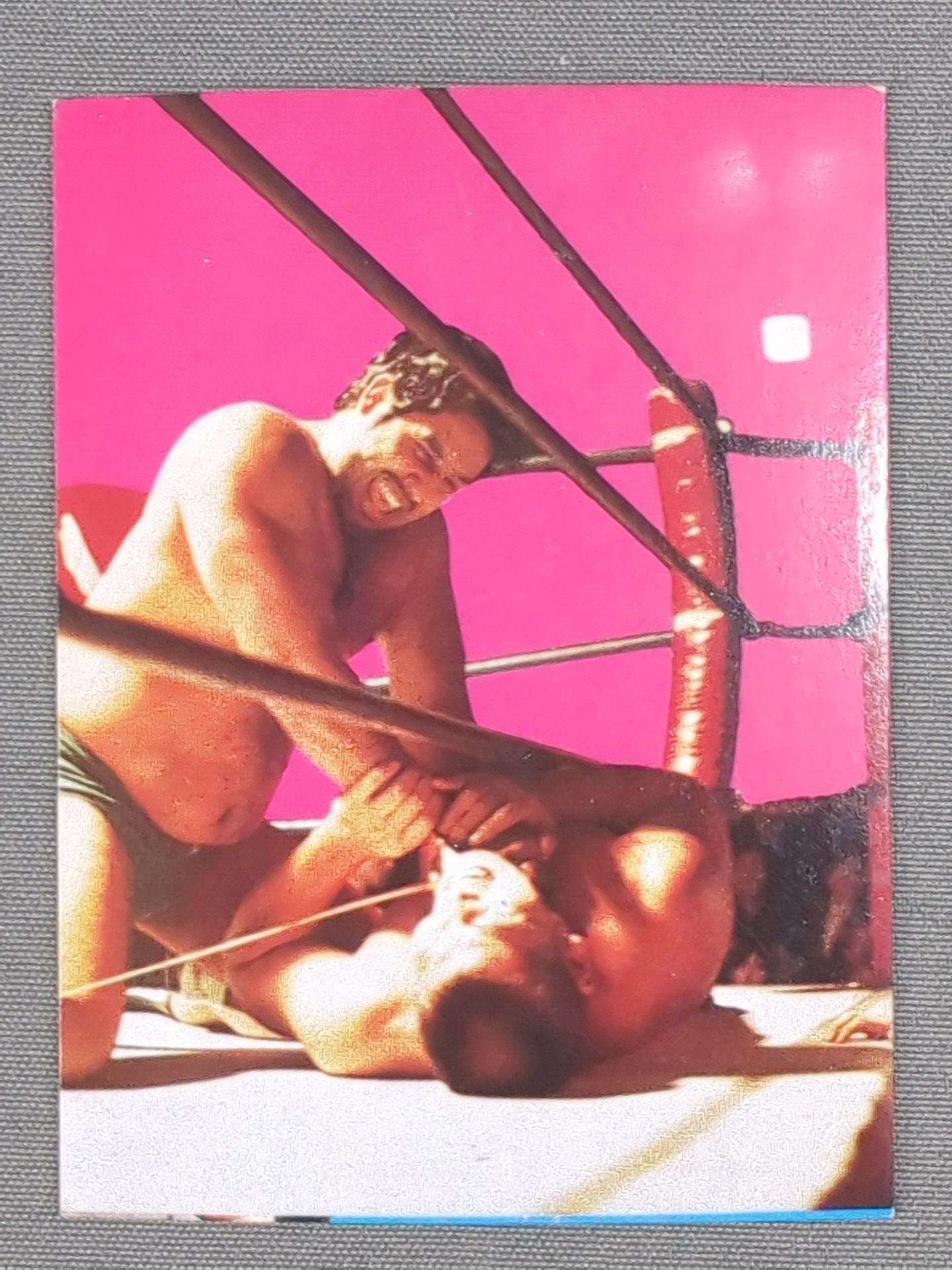 Tiger Jeet Singh YamakatsuPro Wrestling Cards(28)