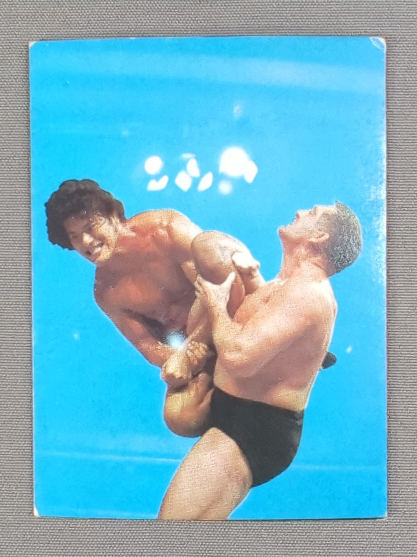 Antonio Inoki vsKarl Gotch YamakatsuPro Wrestling Cards(16)