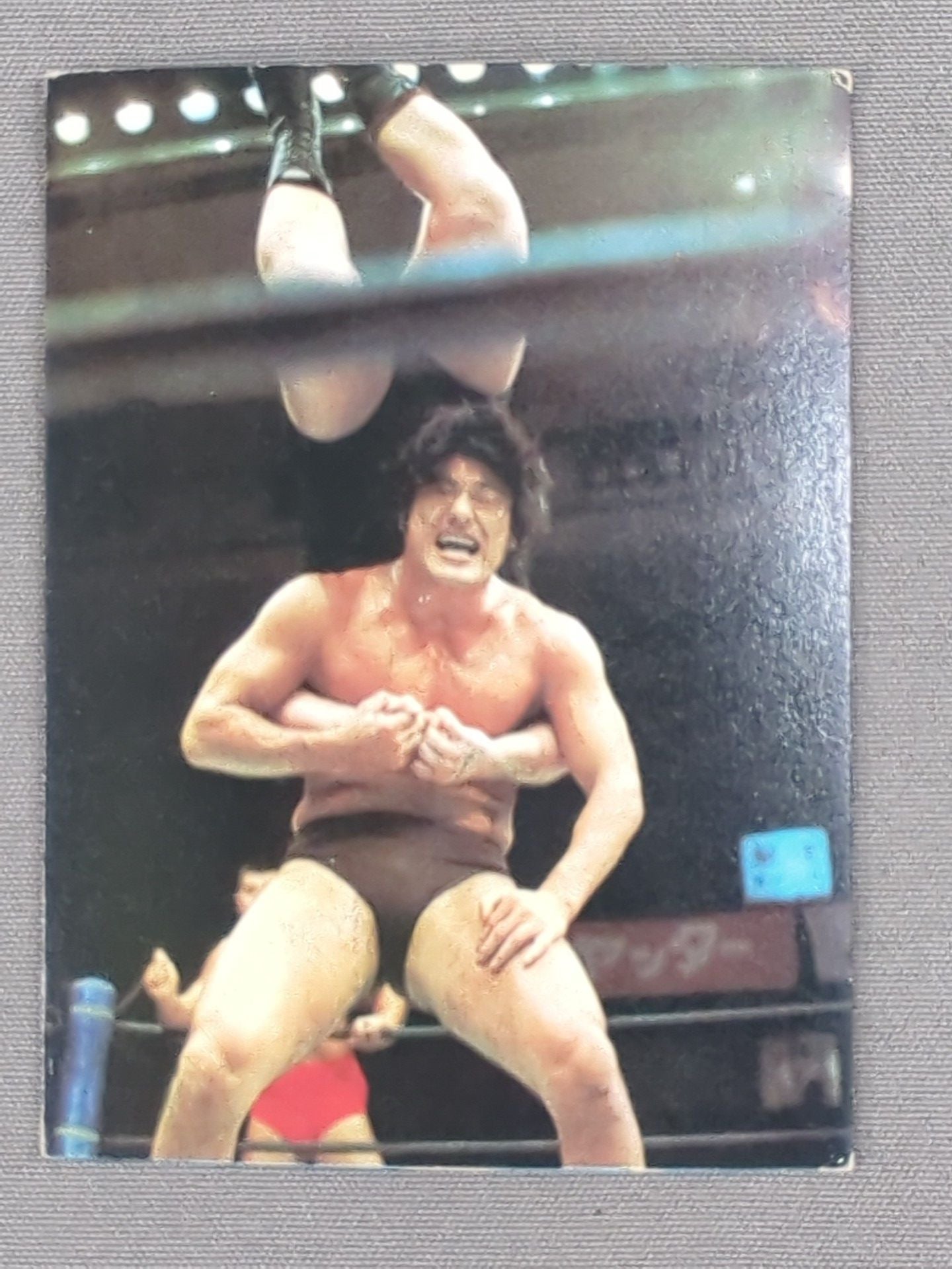 Antonio Inoki YamakatsuPro Wrestling Cards(19)