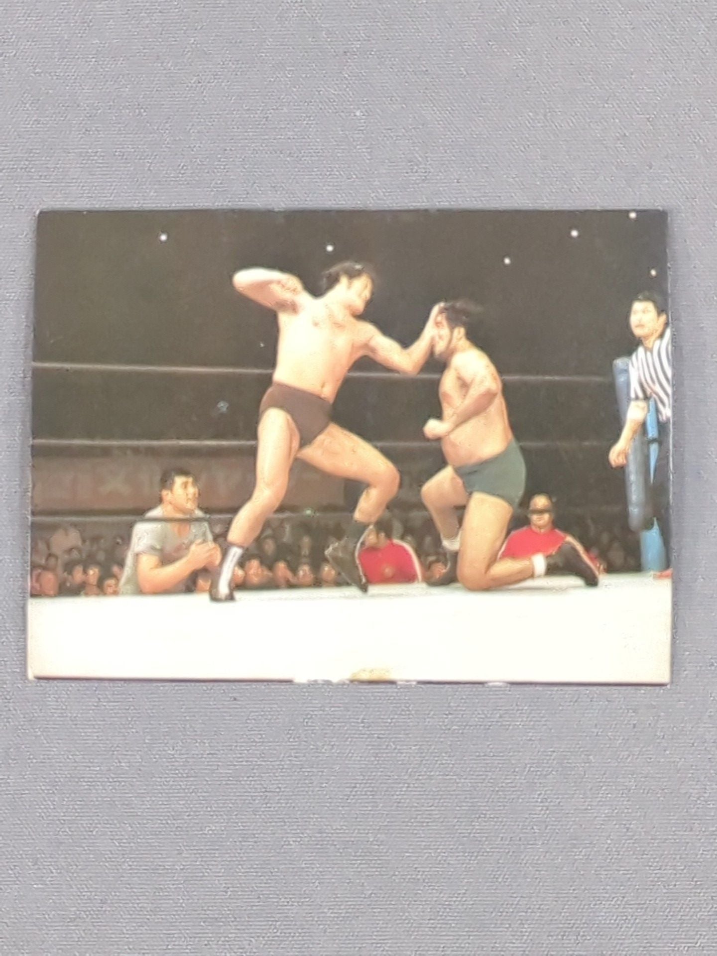 Antonio Inoki vsTiger Jeet Singh YamakatsuPro Wrestling Cards(23)