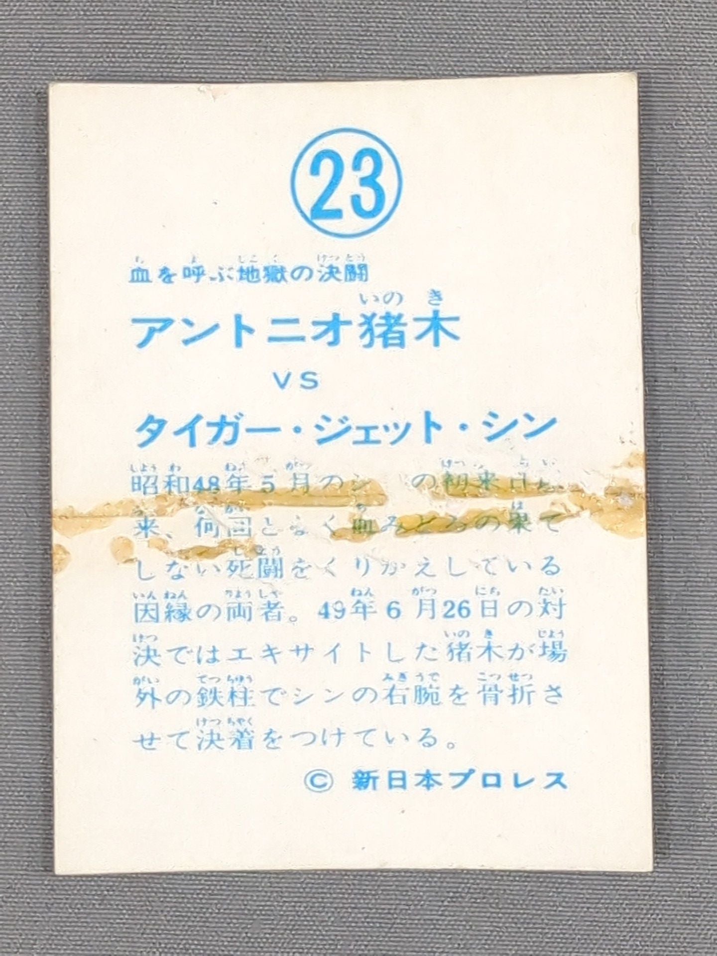 Antonio Inoki vs Tiger Jeet Singh Yamakatsu Pro Wrestling Cards (23)