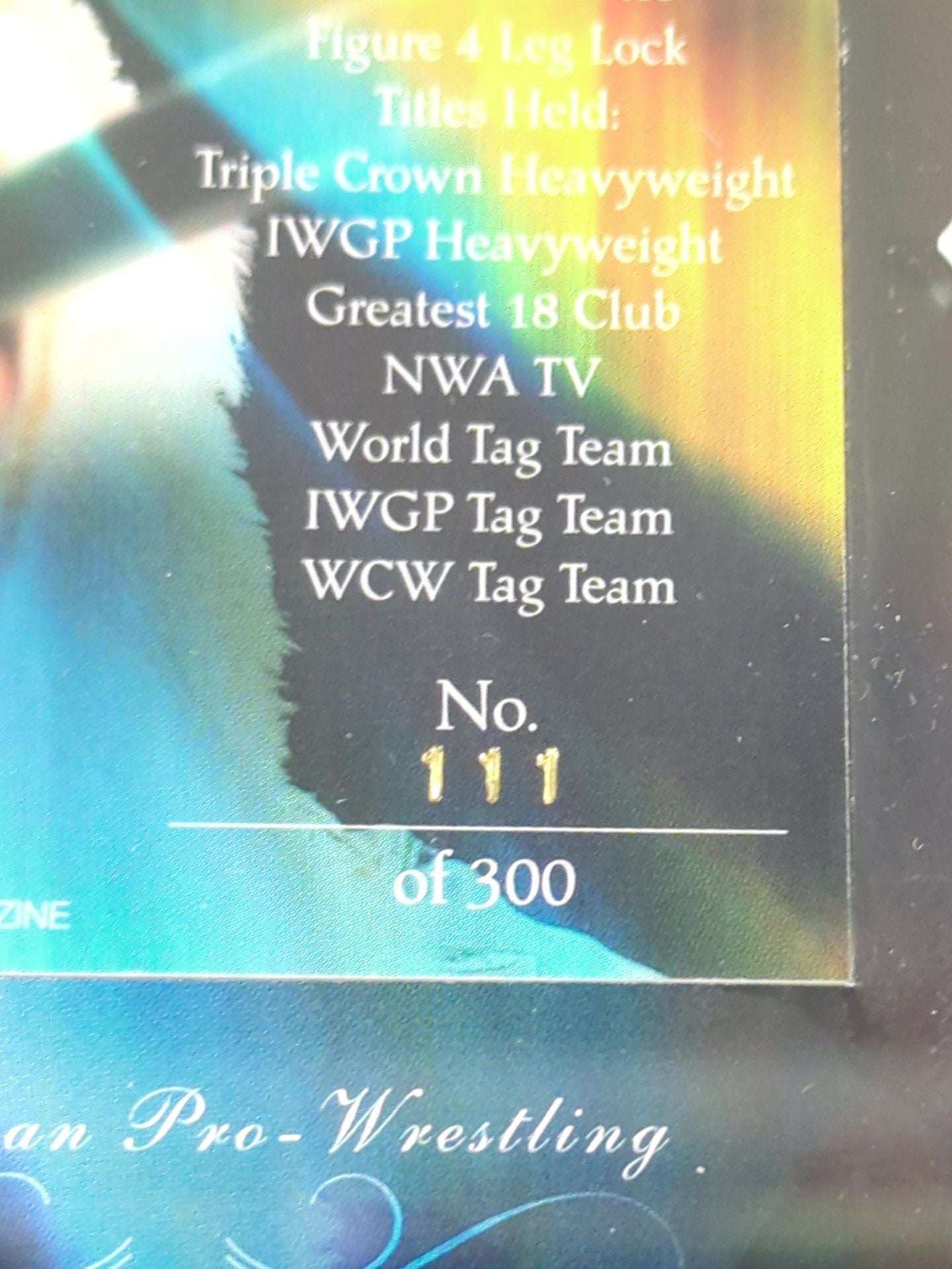 Muto Keiji Memorial Costume Card