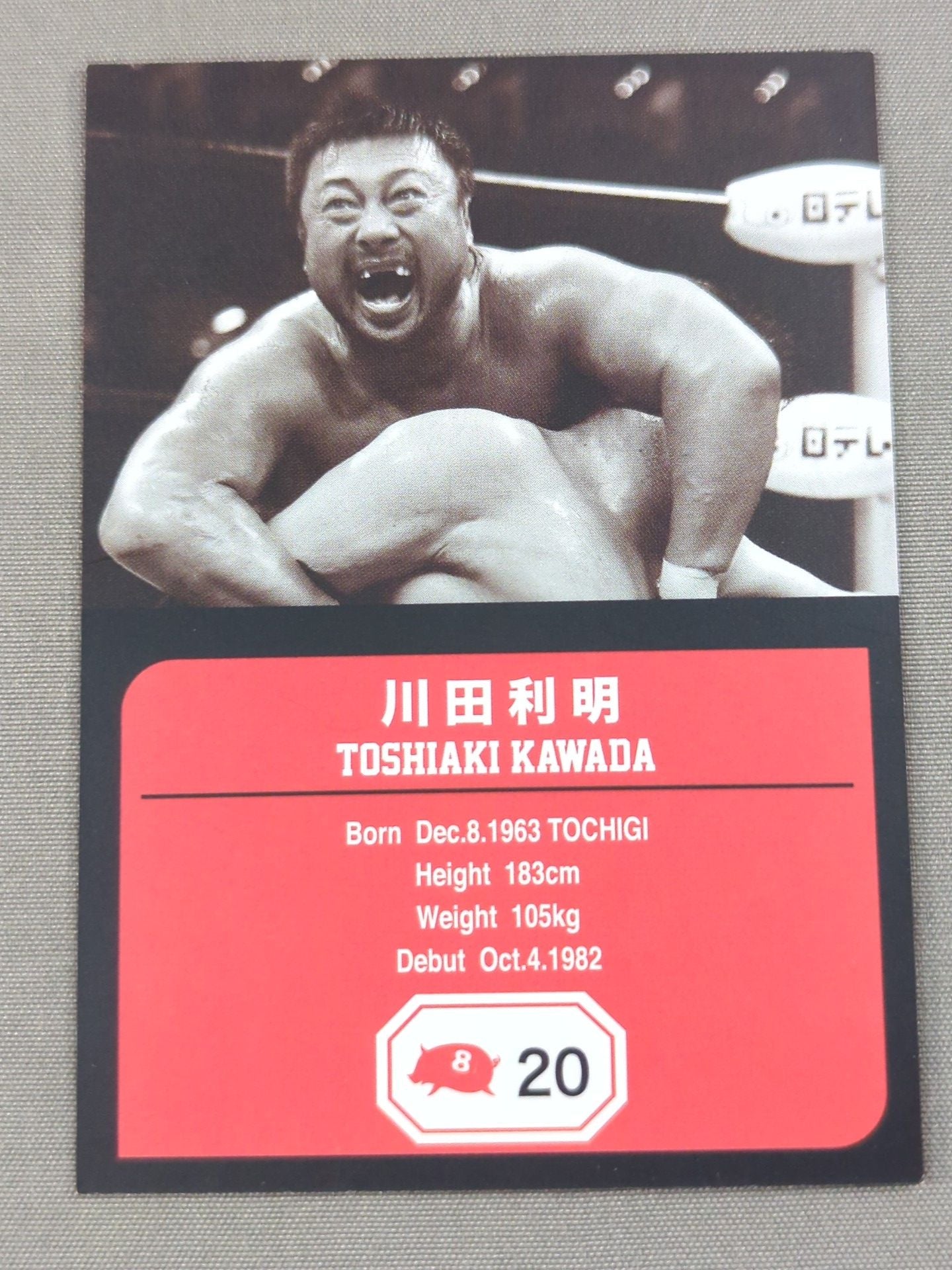 チームフルスイング製 川田利明 プロレスカード