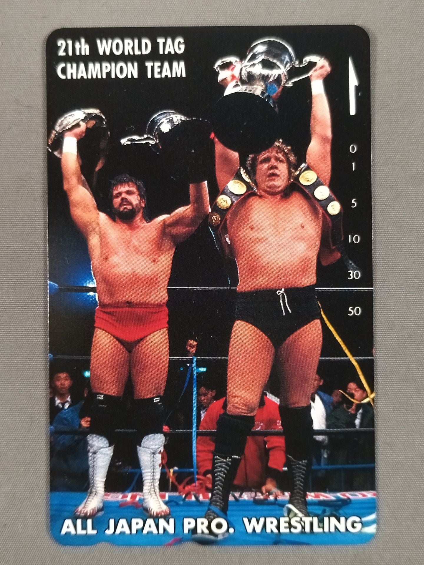 スティーブ・ウィリアムス&テリー・ゴディ 21th WORLD TAG CHAMPION TEAM