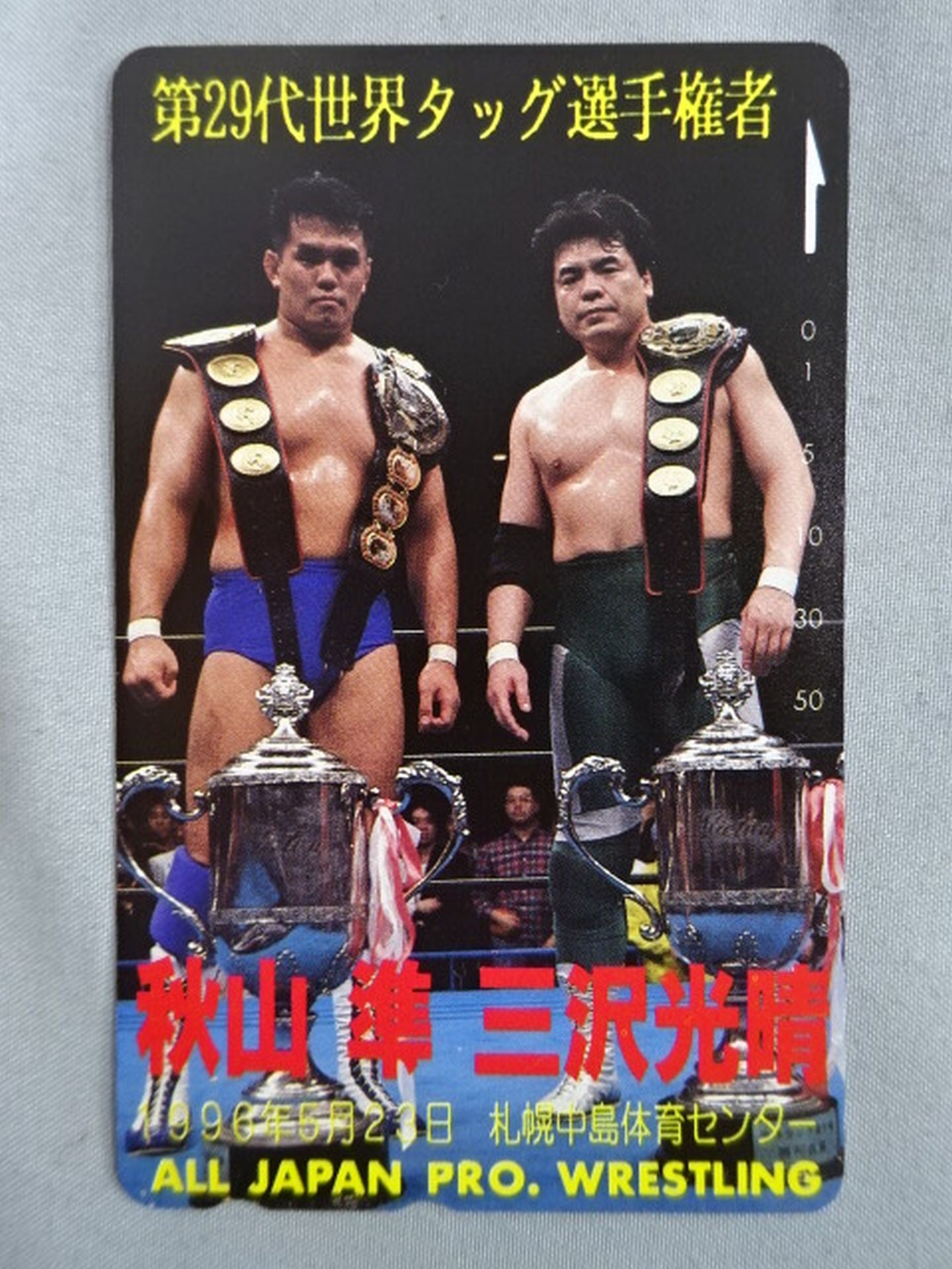 三沢光晴&秋山準 第29代世界タッグ選手権者