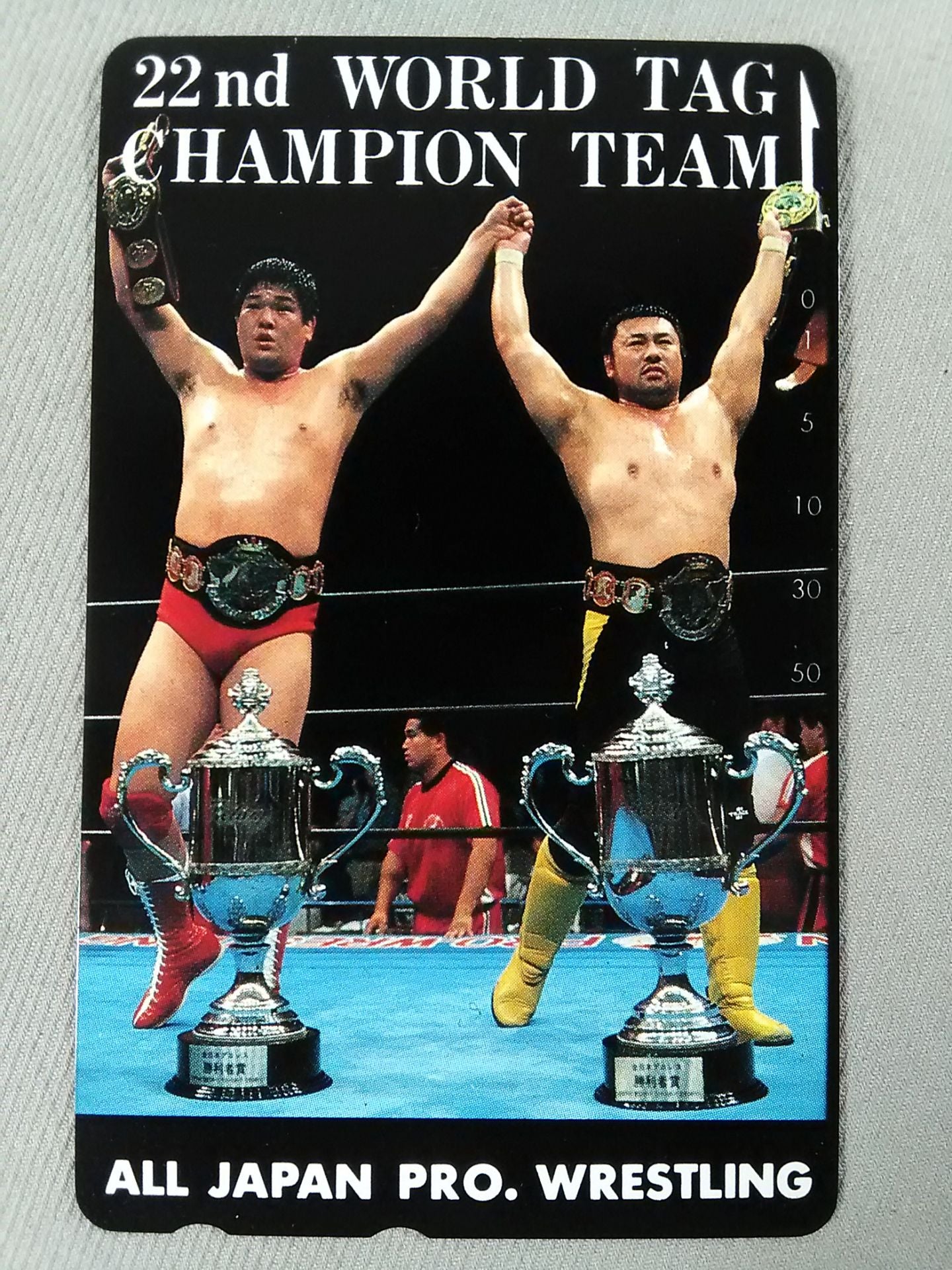 Toshiaki Kawada & Akira Taue 22nd WORLD TAG CHANPION TEAM