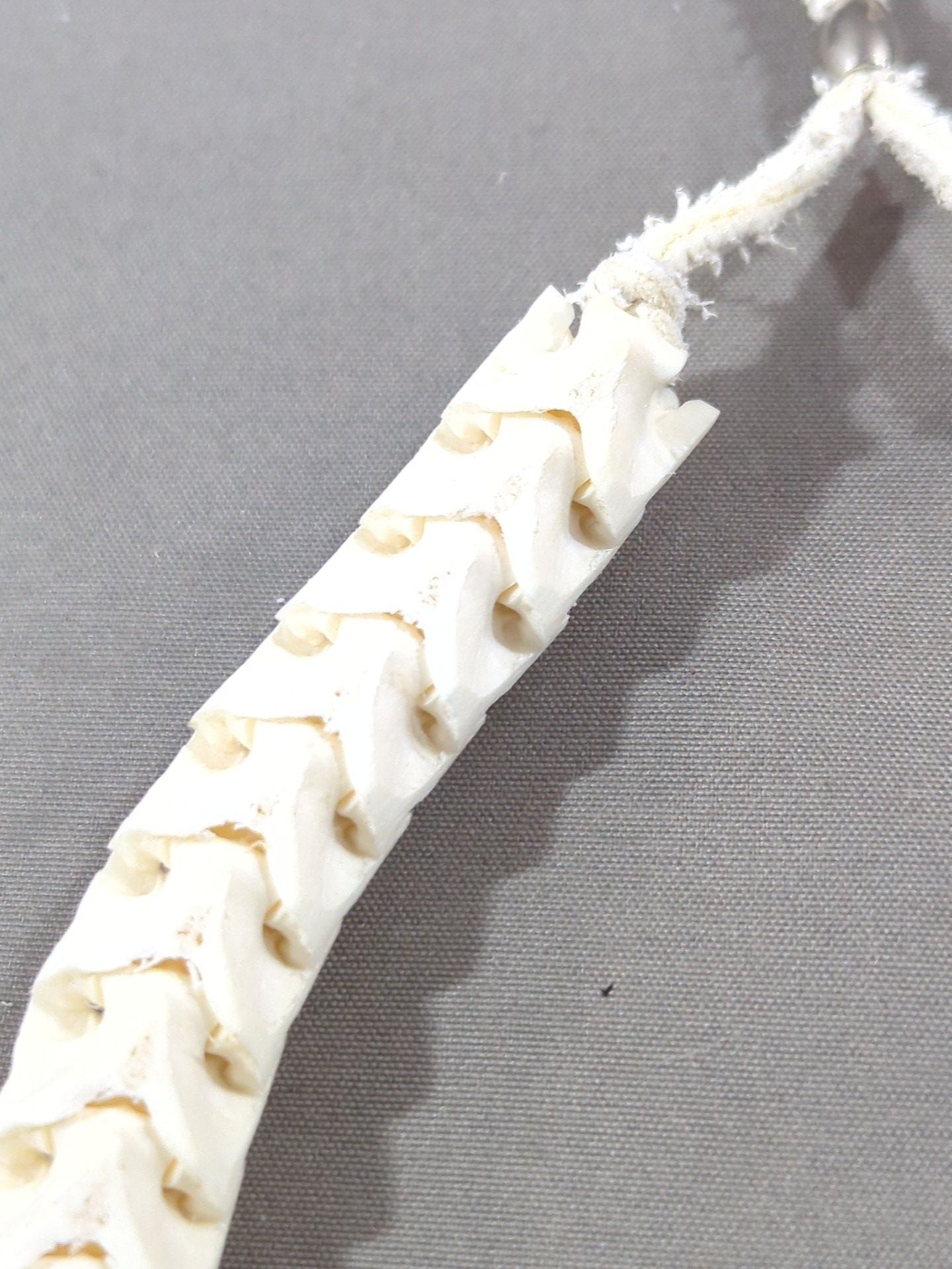 ★ ★ ARISTRIST Python Bone Necklace (White)