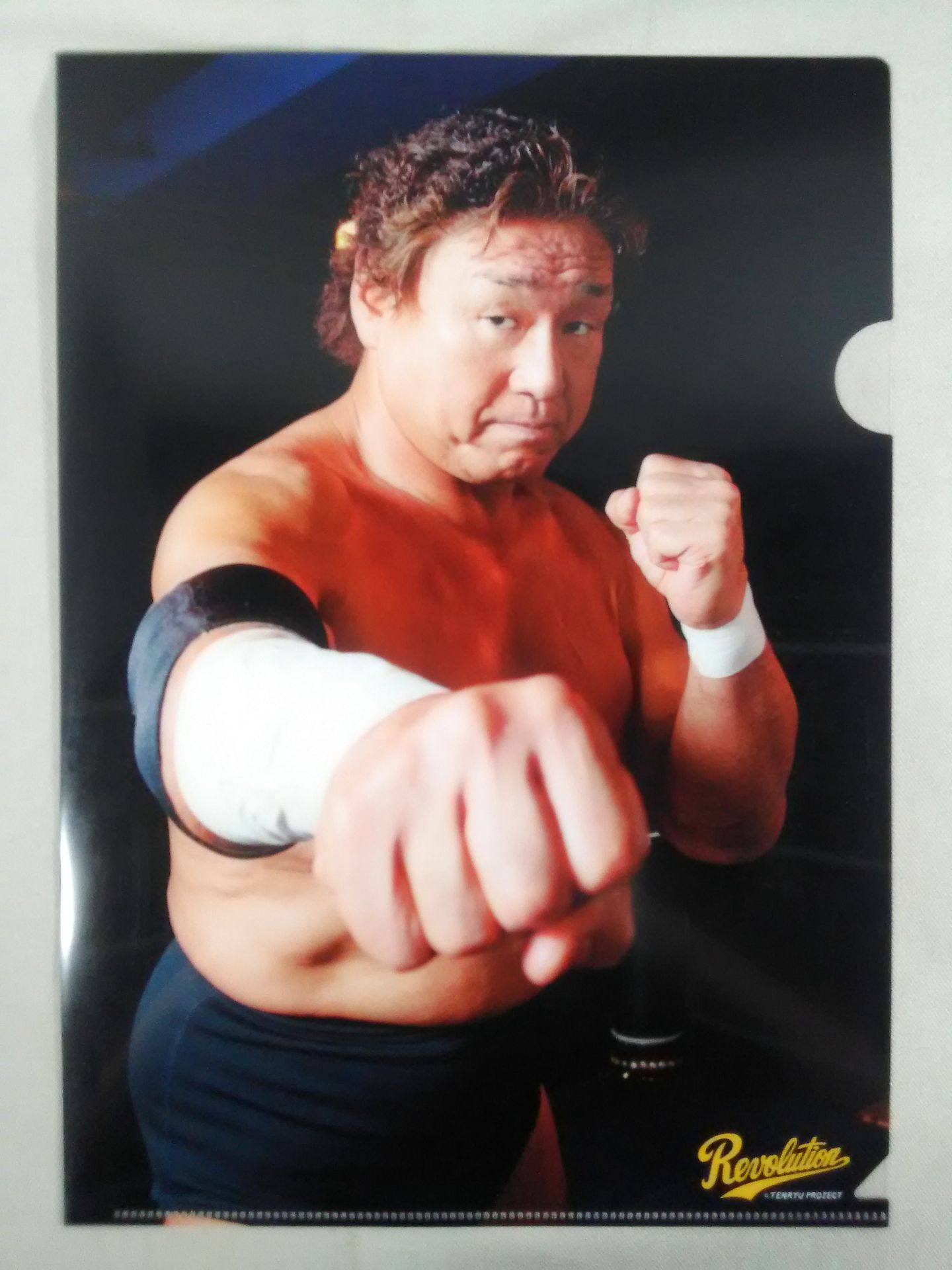 Pro Wrestling plastic file folder Set(3)