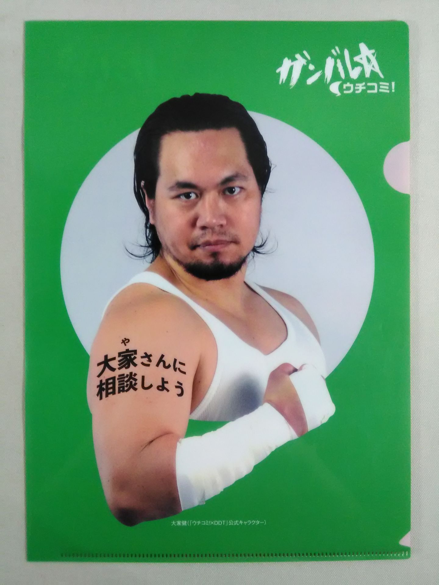 Pro Wrestling plastic file folder Set(3)