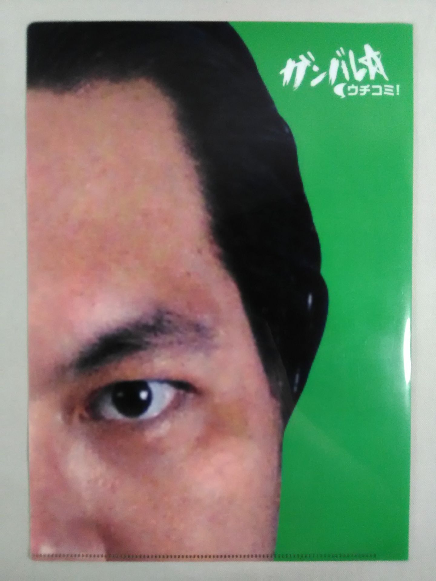 Pro Wrestling plastic file folder Set(3)