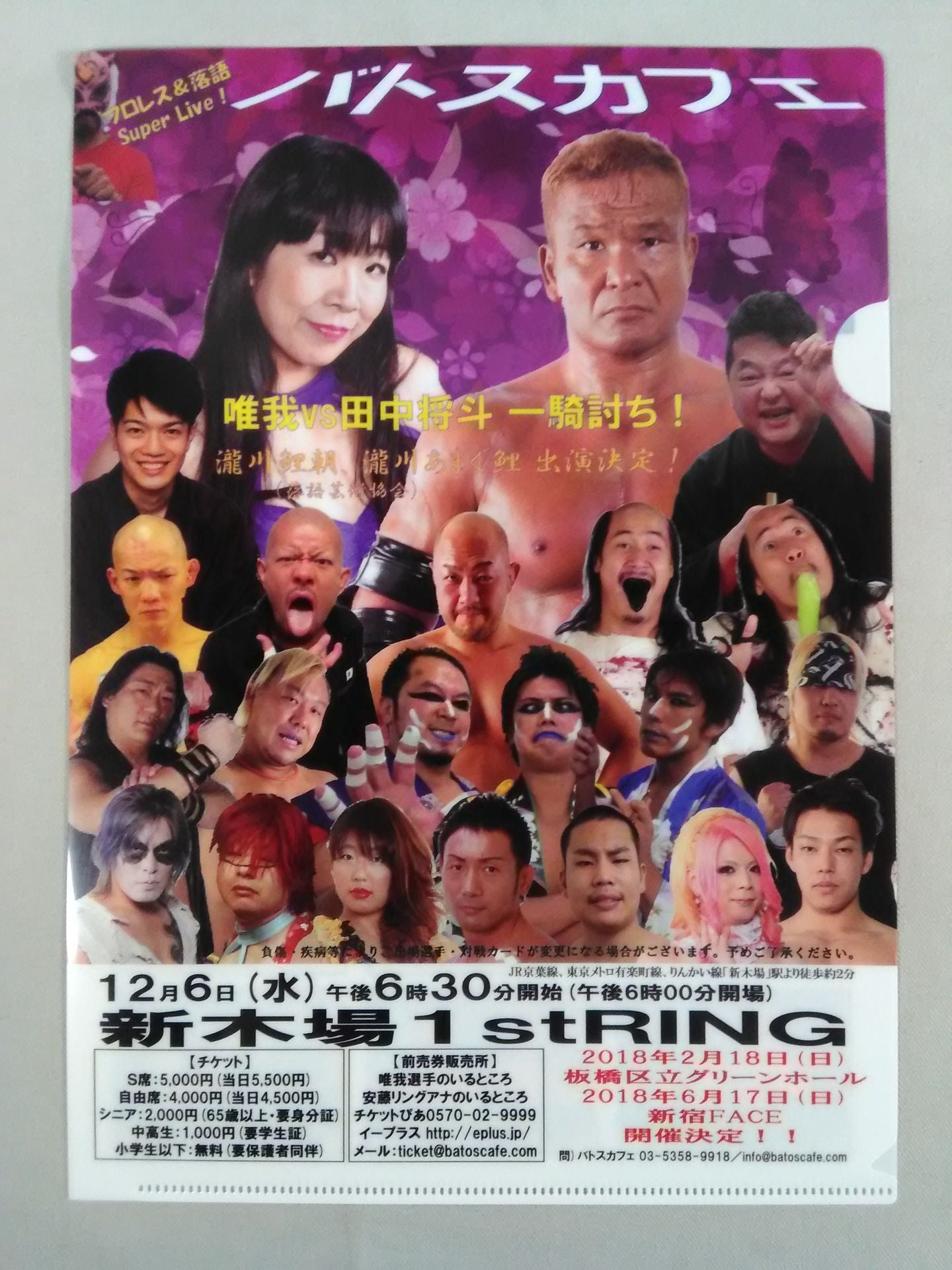 Pro Wrestling plastic file folder Set(10)