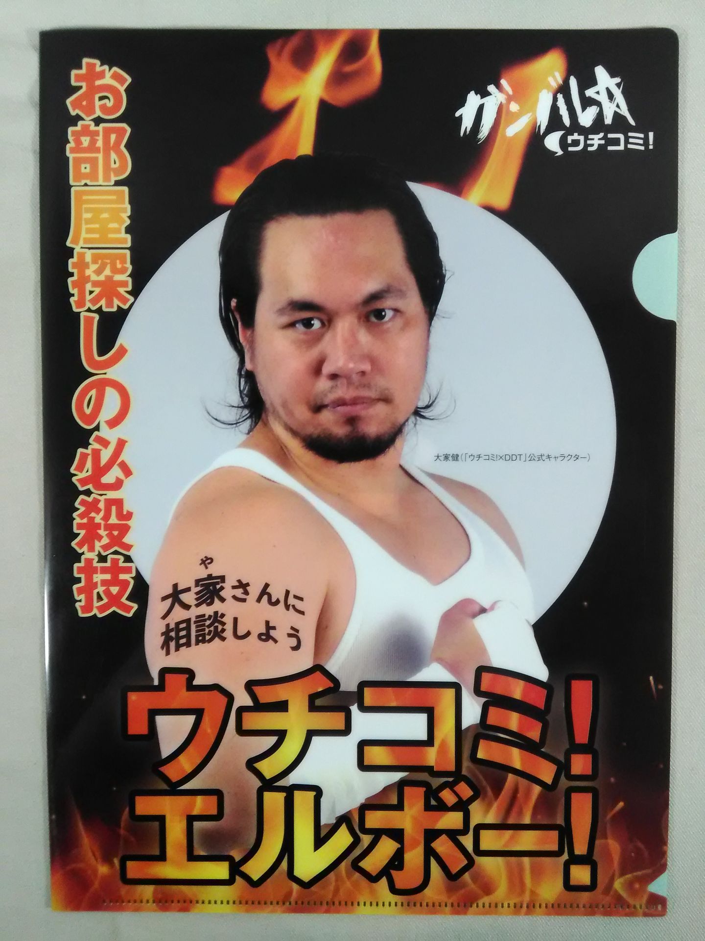 Pro Wrestling plastic file folder Set(10)