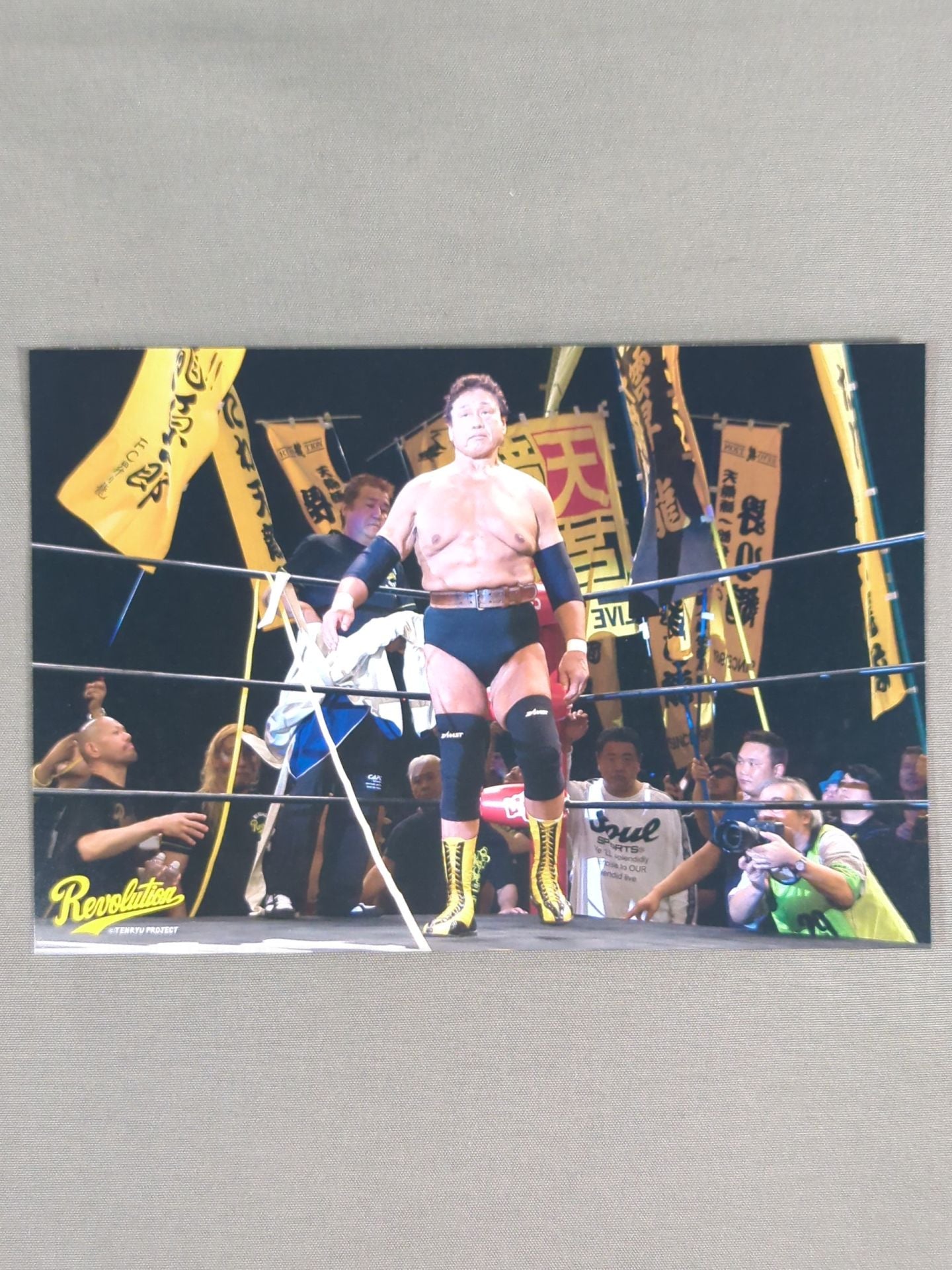 ★Revolution★ Tenryu Genichiro Postcard Set