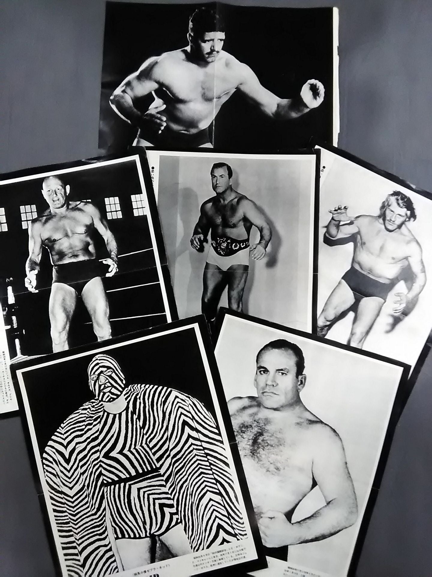 Separate Gong Appendix Memorable Wrestlers 50 times