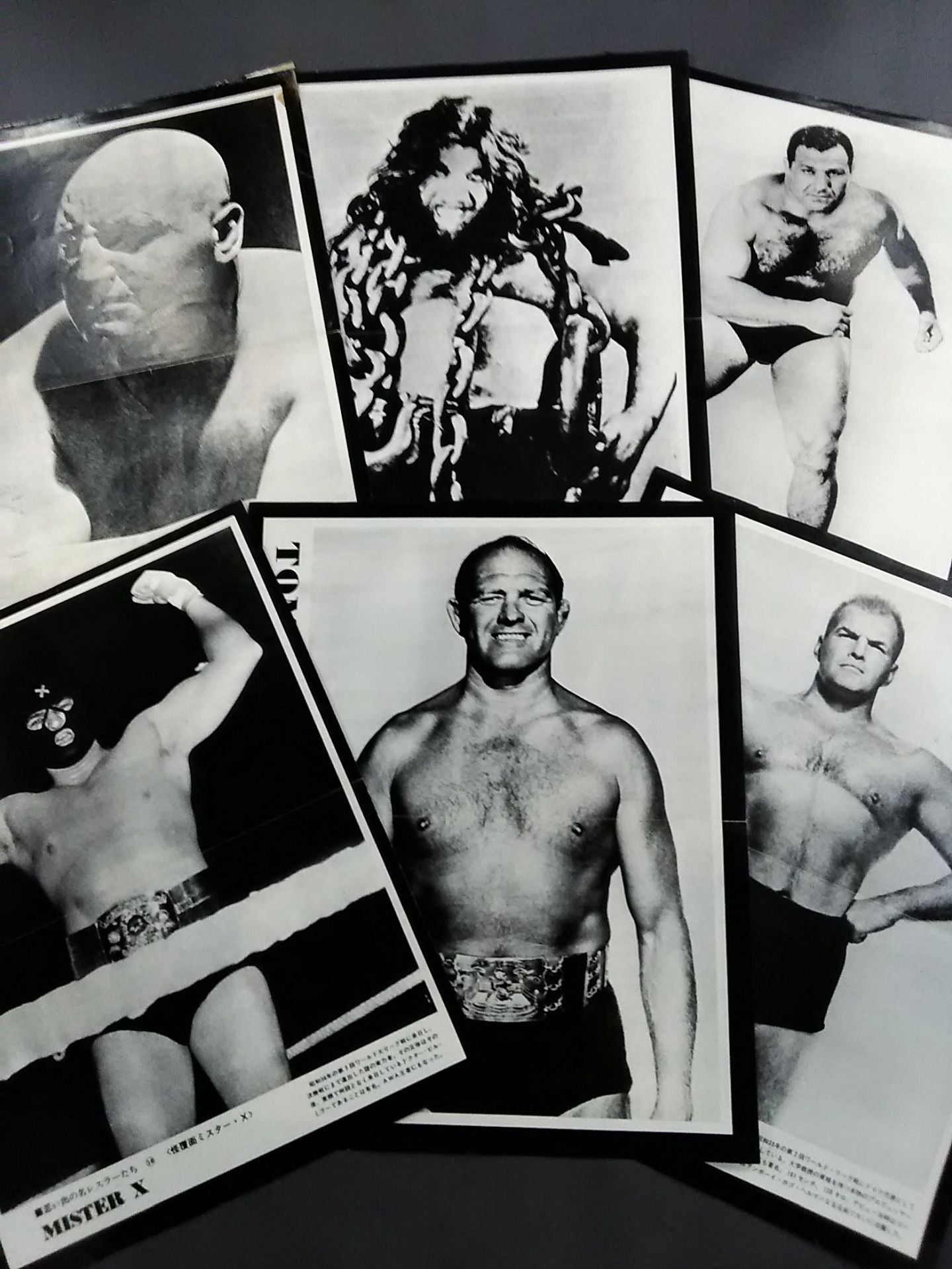 Separate Gong Appendix Memorable Wrestlers 50 times