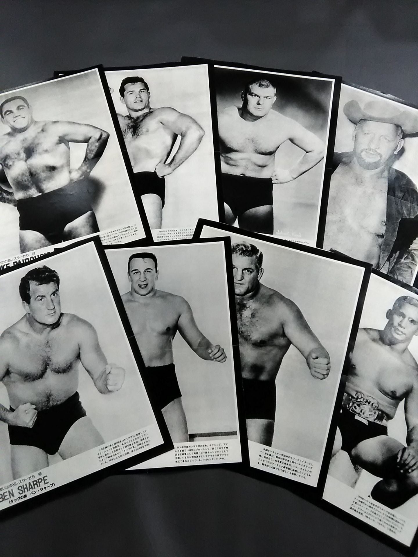 Separate Gong Appendix Memorable Wrestlers 50 times
