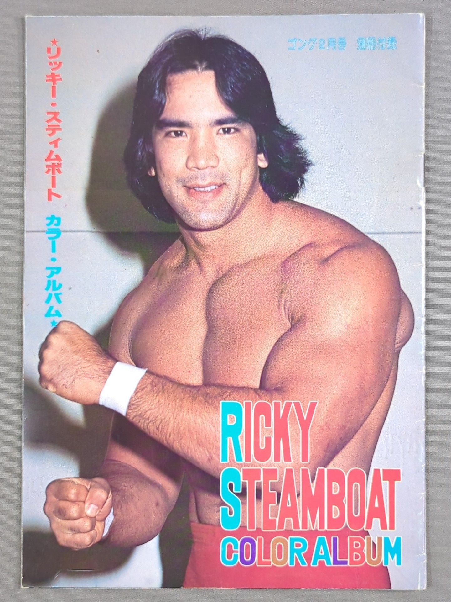 リッキー・スティムボート カラー・アルバム / RICKY STEAMBOAT COLOR ALBUM
