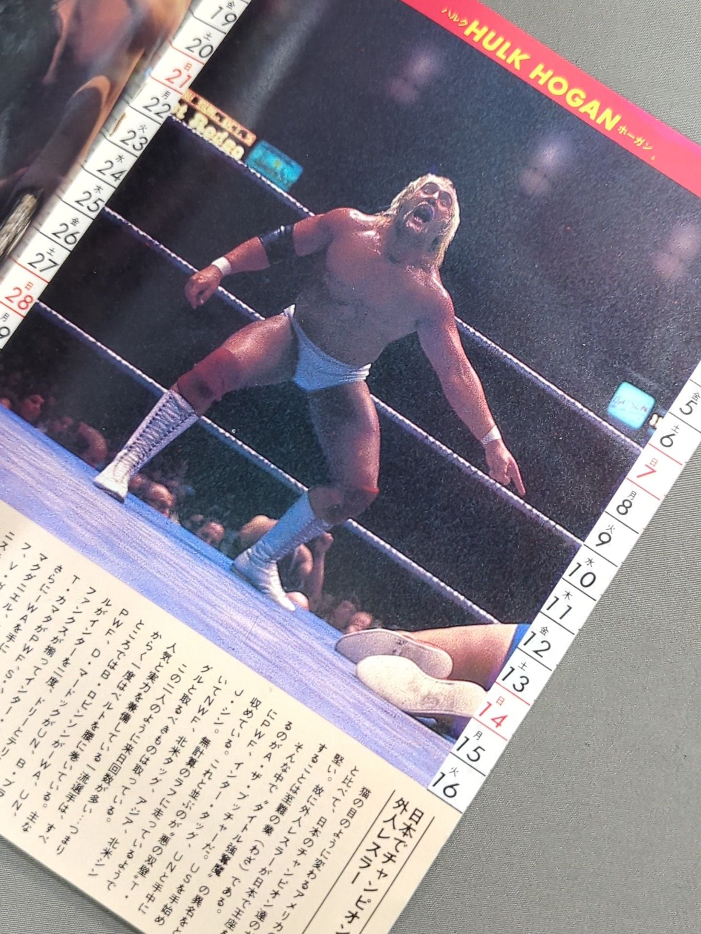81 Pro Wrestling Notes & Calendar