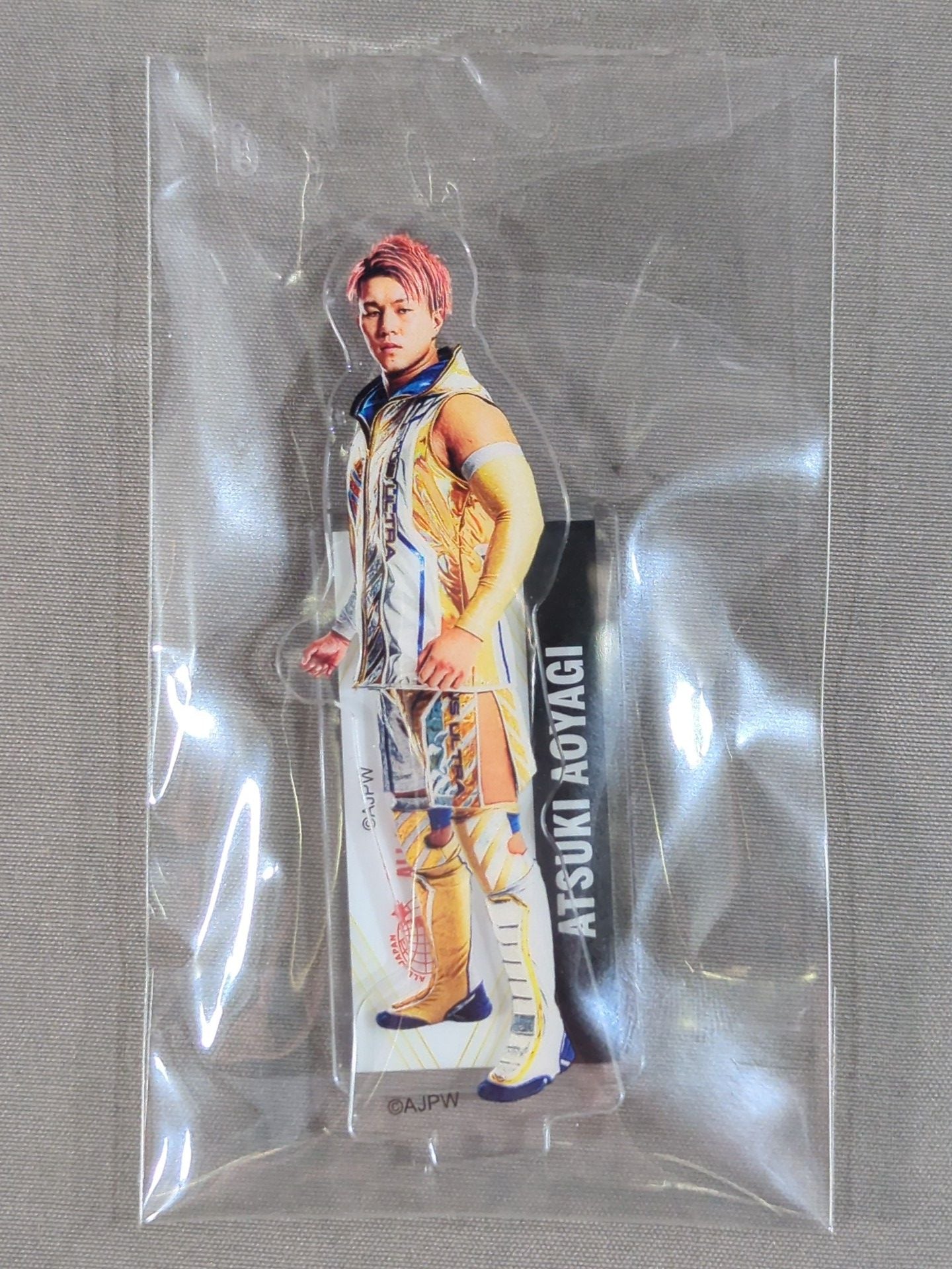 全日本プロレス 青柳亮生 グッズ まとめ売り 全日本プロレス 青柳亮生 グッズ まとめ売り 青柳亮生 (@atsukiaoyagi