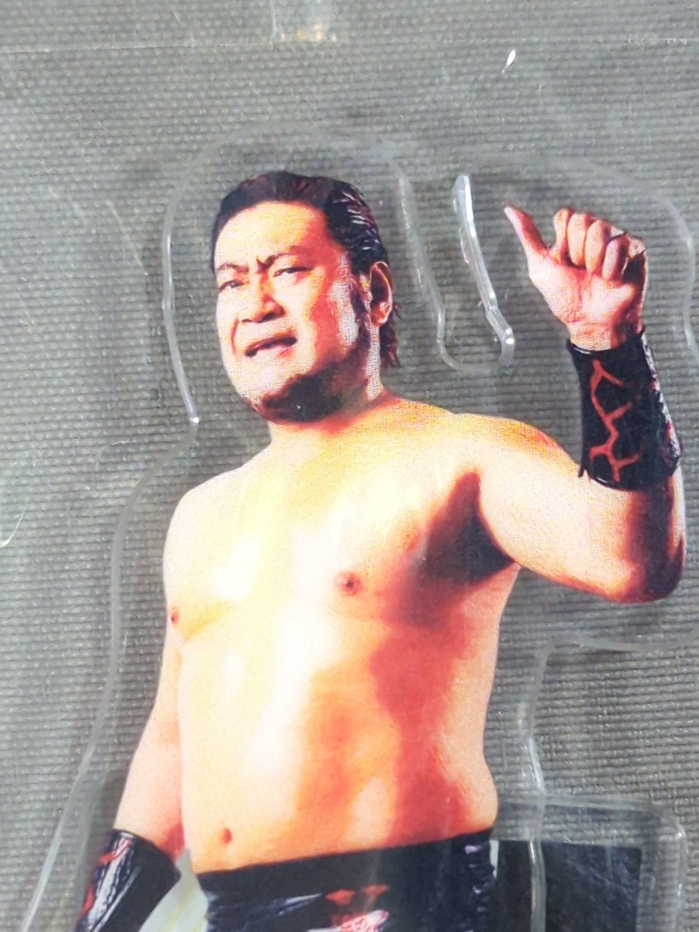 SUWAMA All Japan Pro Wrestling 50th Anniversary Acrylic Stand (B)