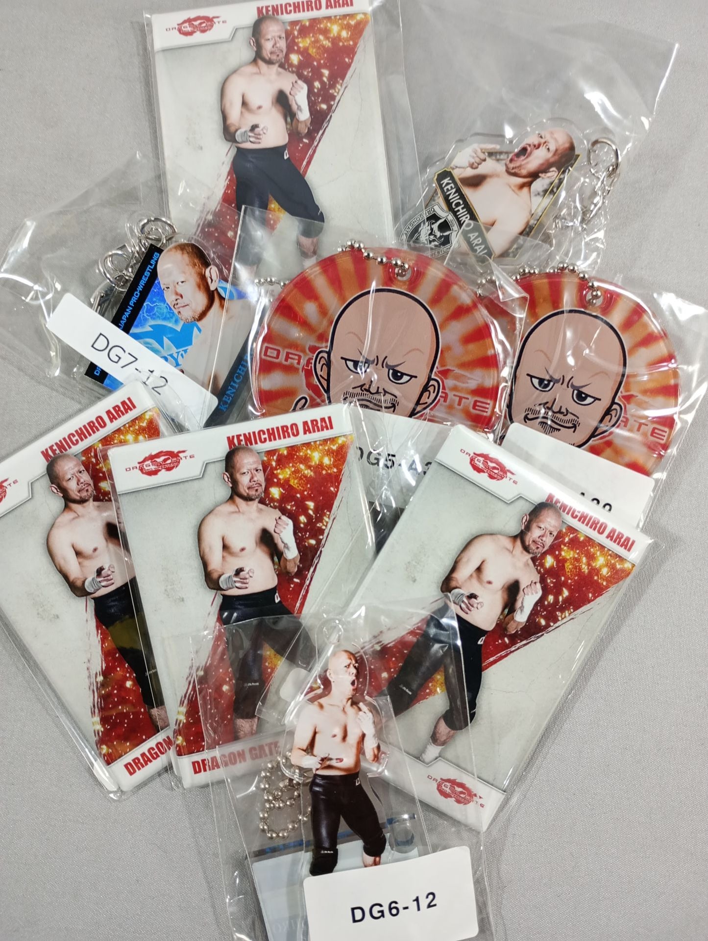 ★ ★ Living That Day Kenichiro Arai Dragon Gate Accessories Set